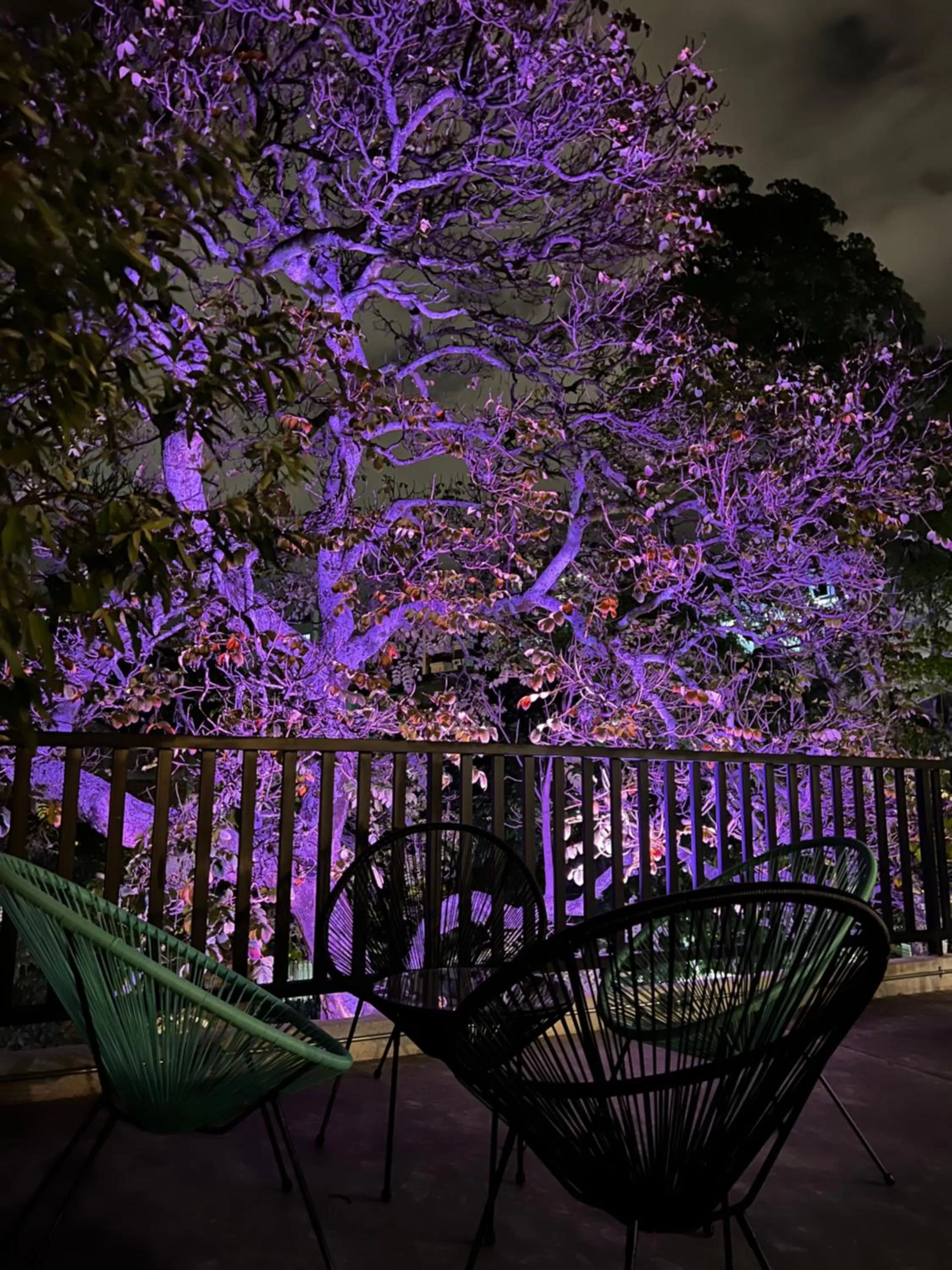 Restaurant/places to eat in HOTEL 9.5 SAN FERNANDO