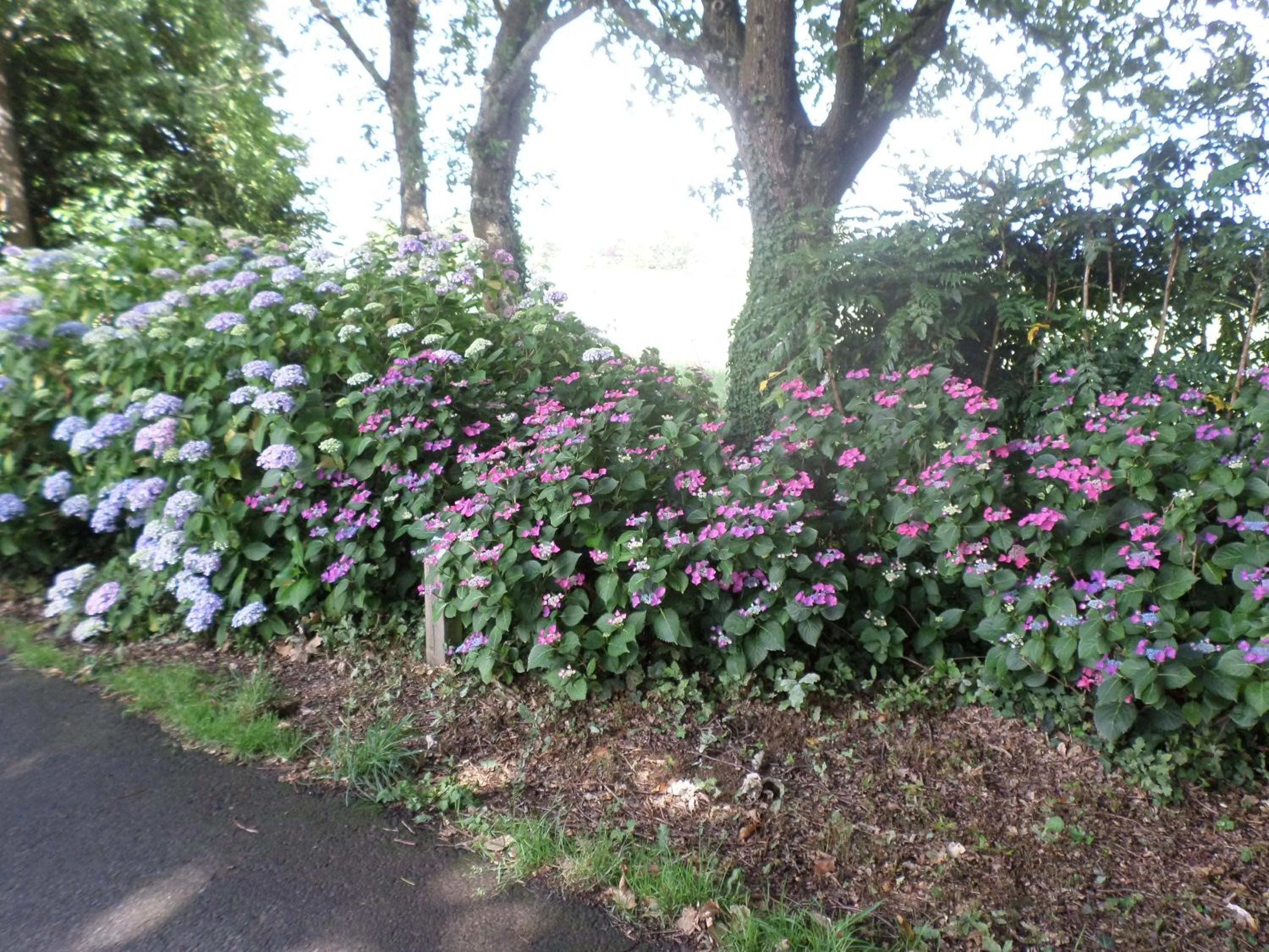 Spring, Garden in Le Ludixarium