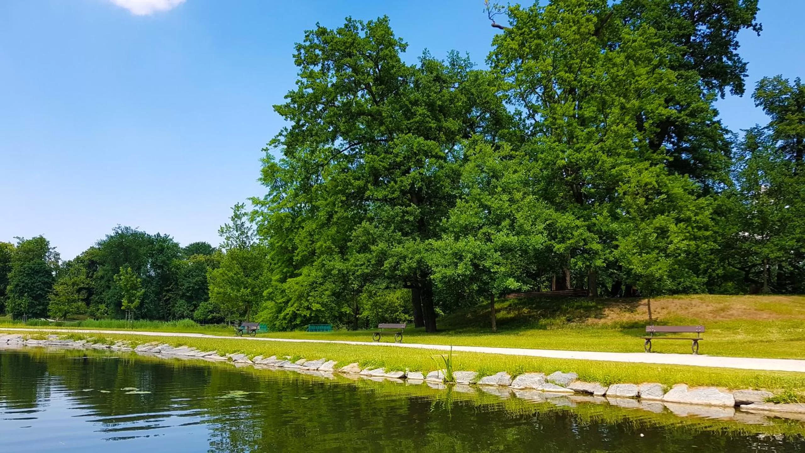 Natural landscape in Hotel Schwaiger