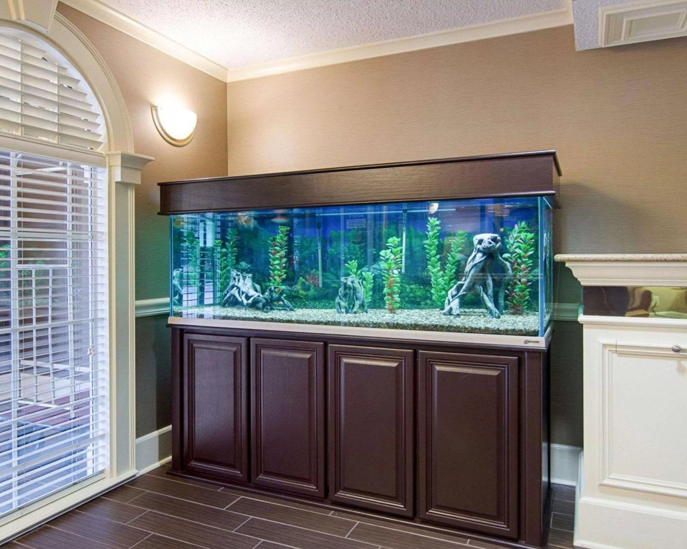 Lobby or reception in Quality Inn & Suites Little Rock West