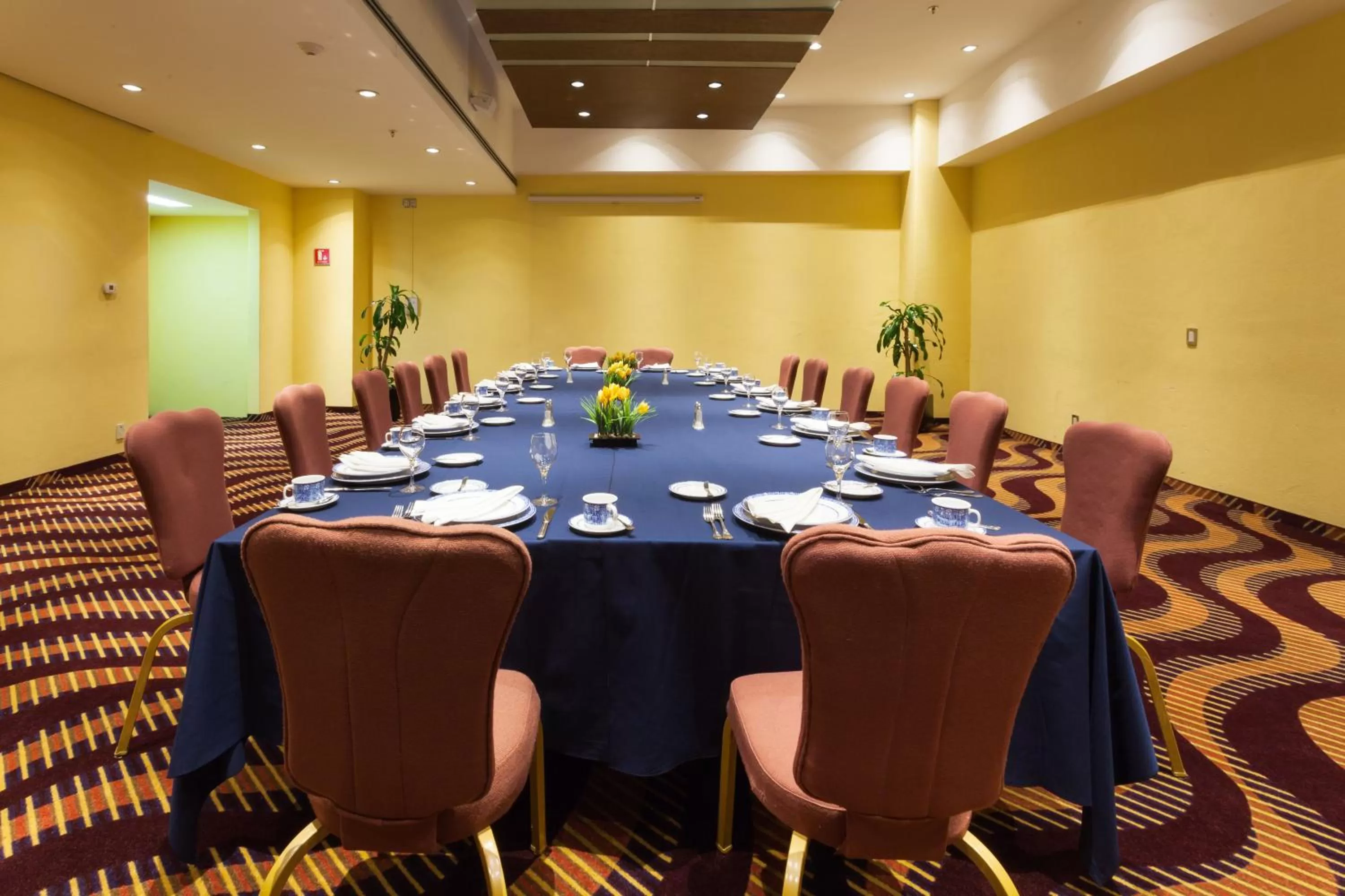 Meeting/conference room in Holiday Inn Puebla Finsa by IHG