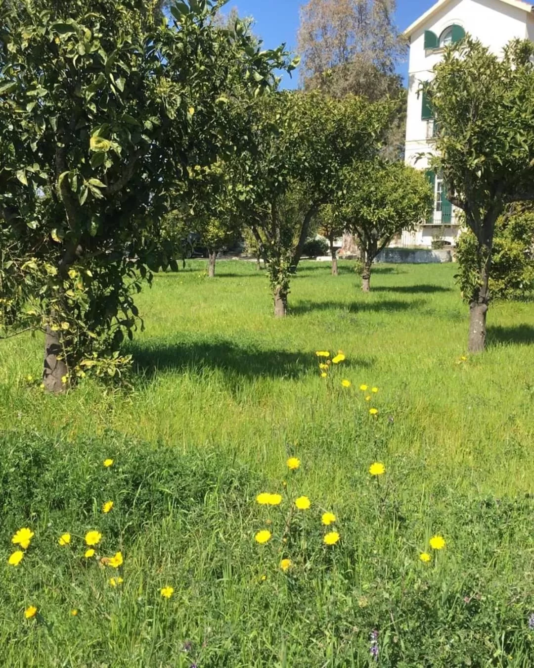 B&B Casa Maria Vittoria