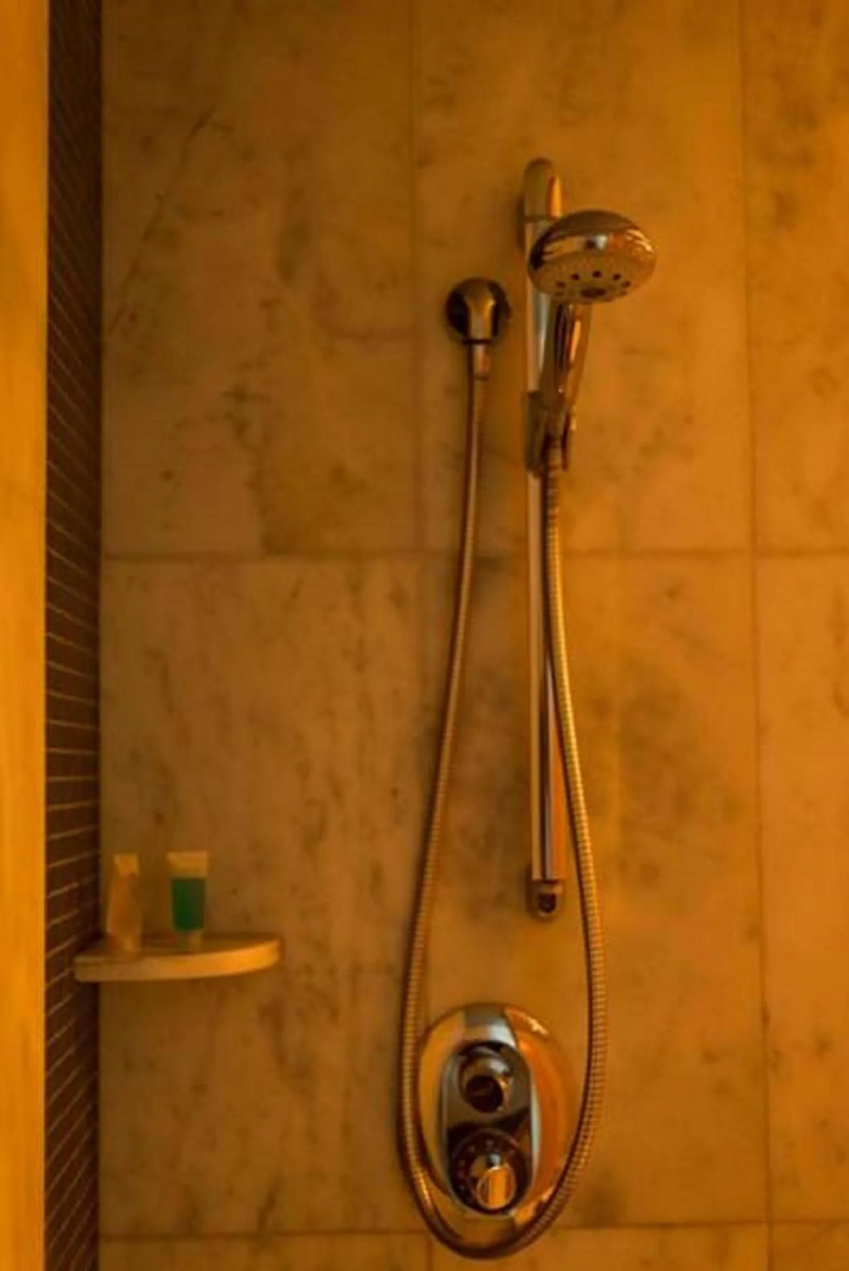 Bed in Executive Sport