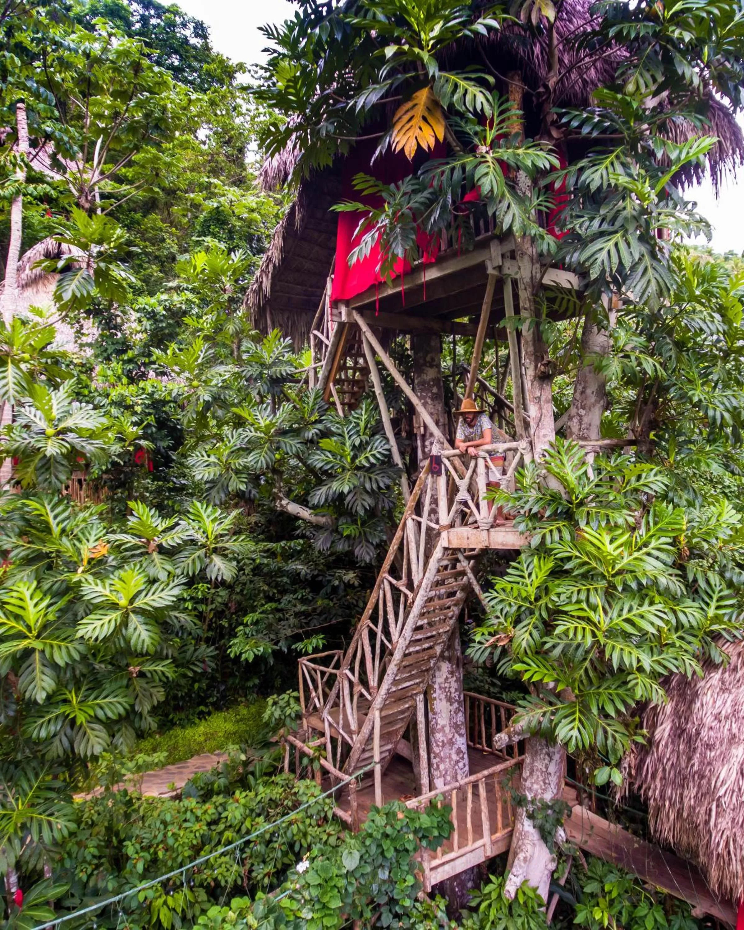 Natural landscape in Dominican Tree House Village
