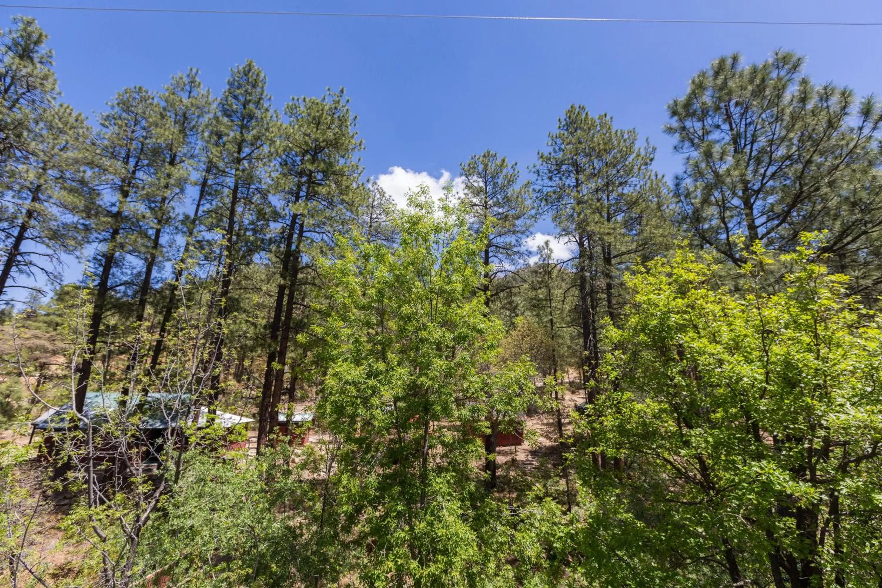 Property building, Natural Landscape in Crown King Cabins Bradshaw