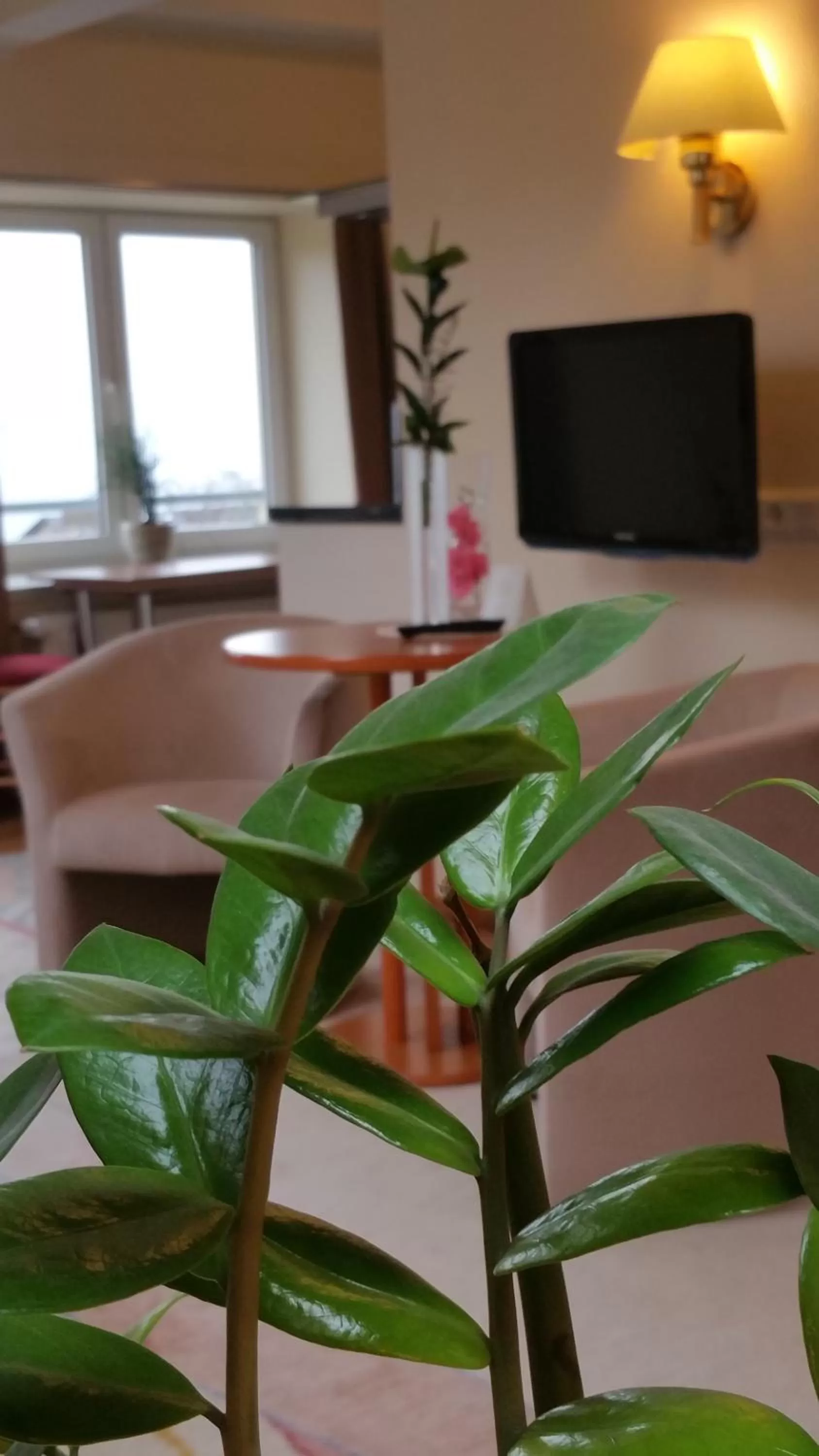 Living room in Parkhotel del Mar