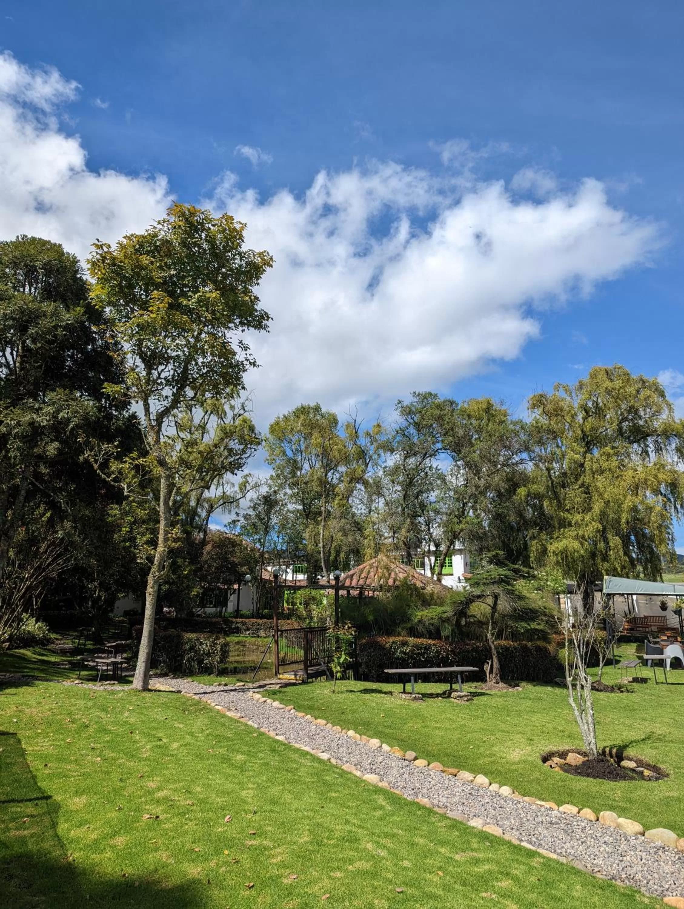 Area and facilities in Posada Cafe La Huerta