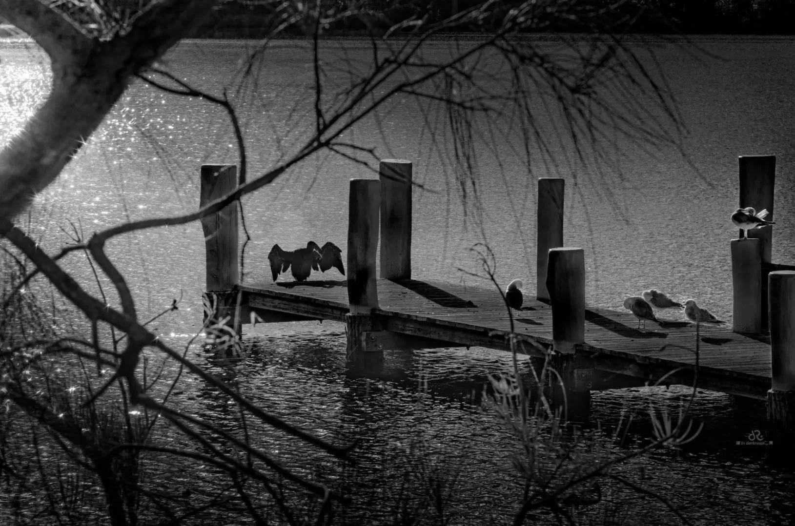 Lake view in Peace Resorts - Jervis Bay Holiday Cabins in Sussex Inlet