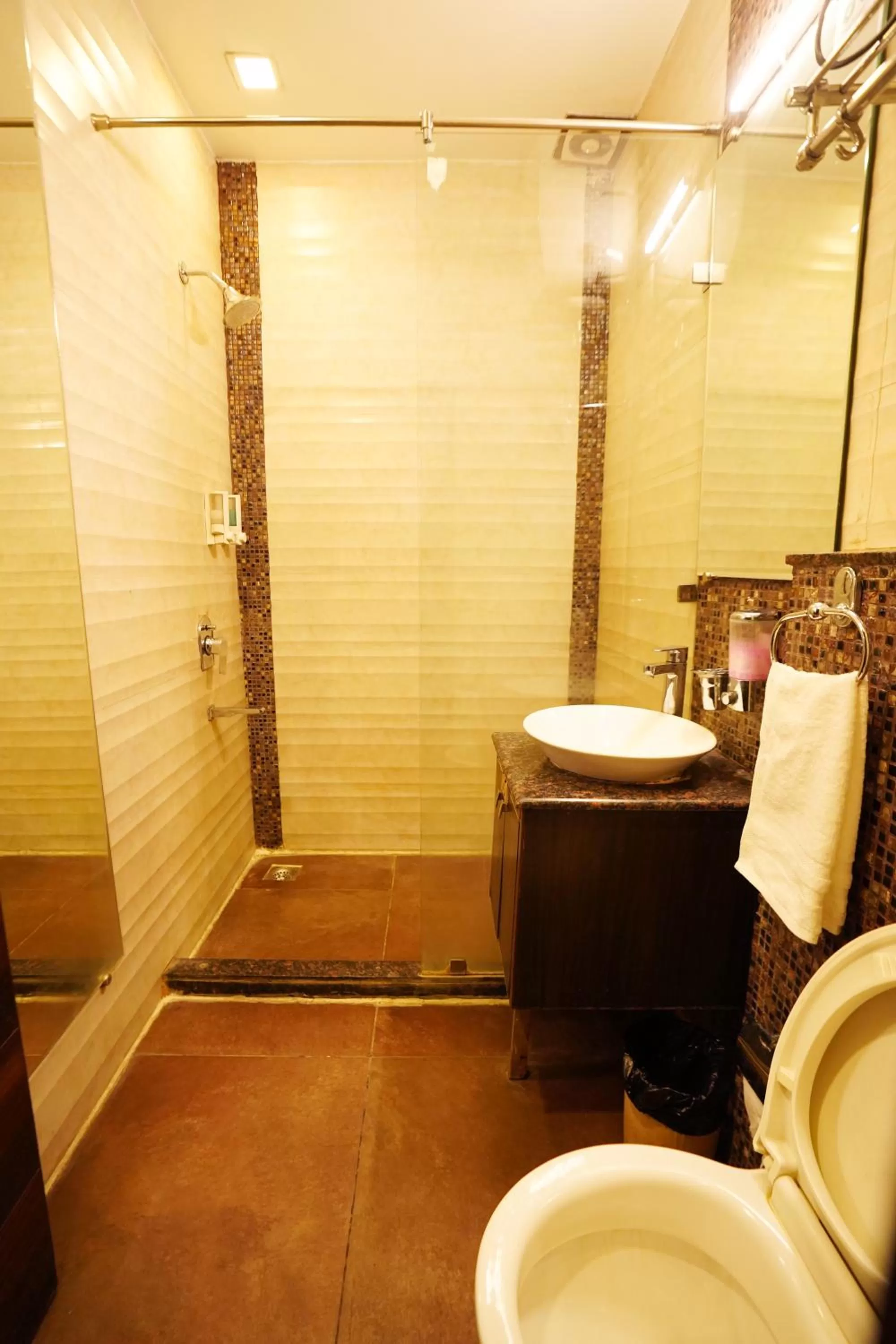 Bathroom in Hotel Dreamland Chandigarh