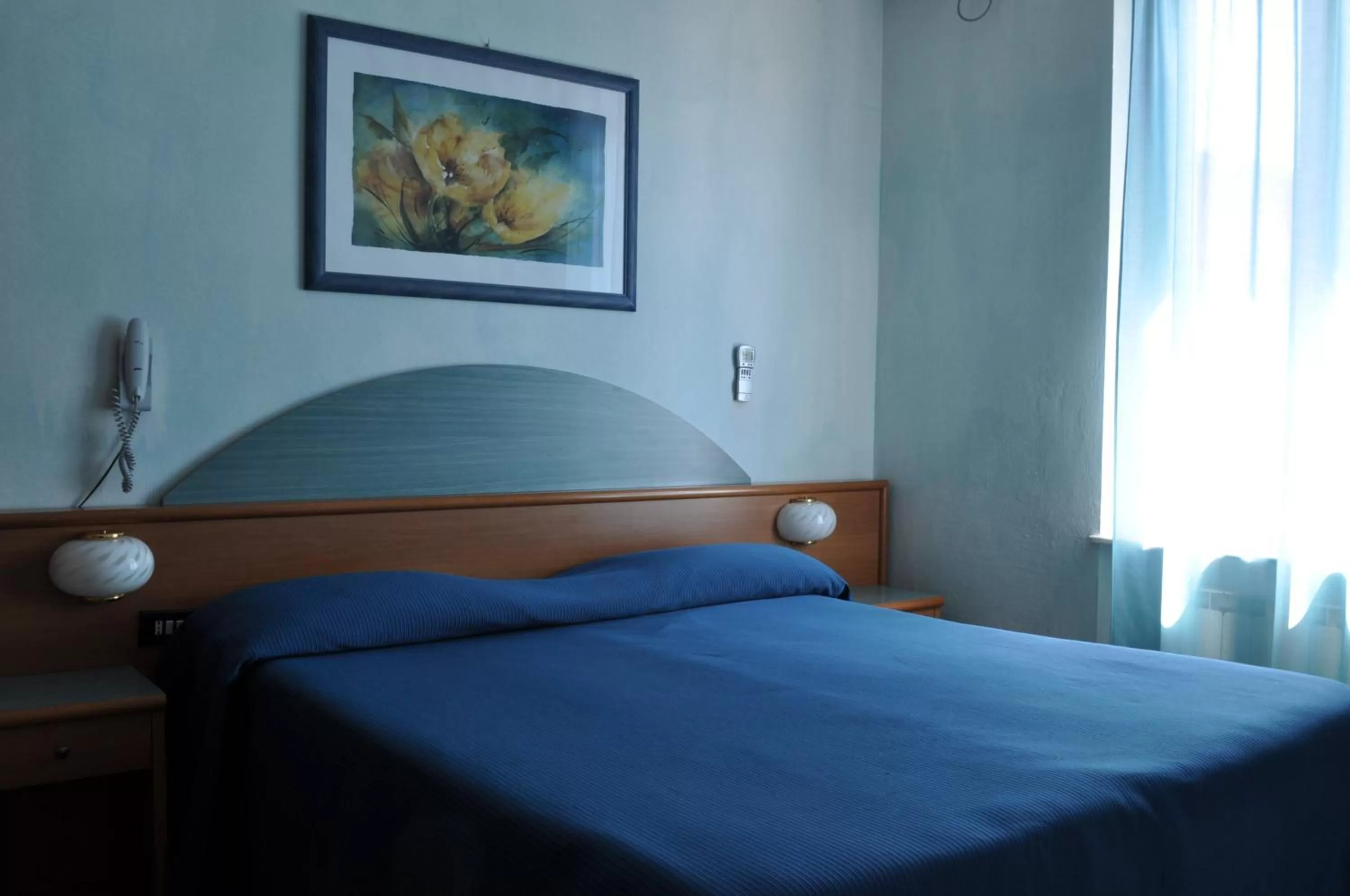 Double or Twin Room in Hotel Roma