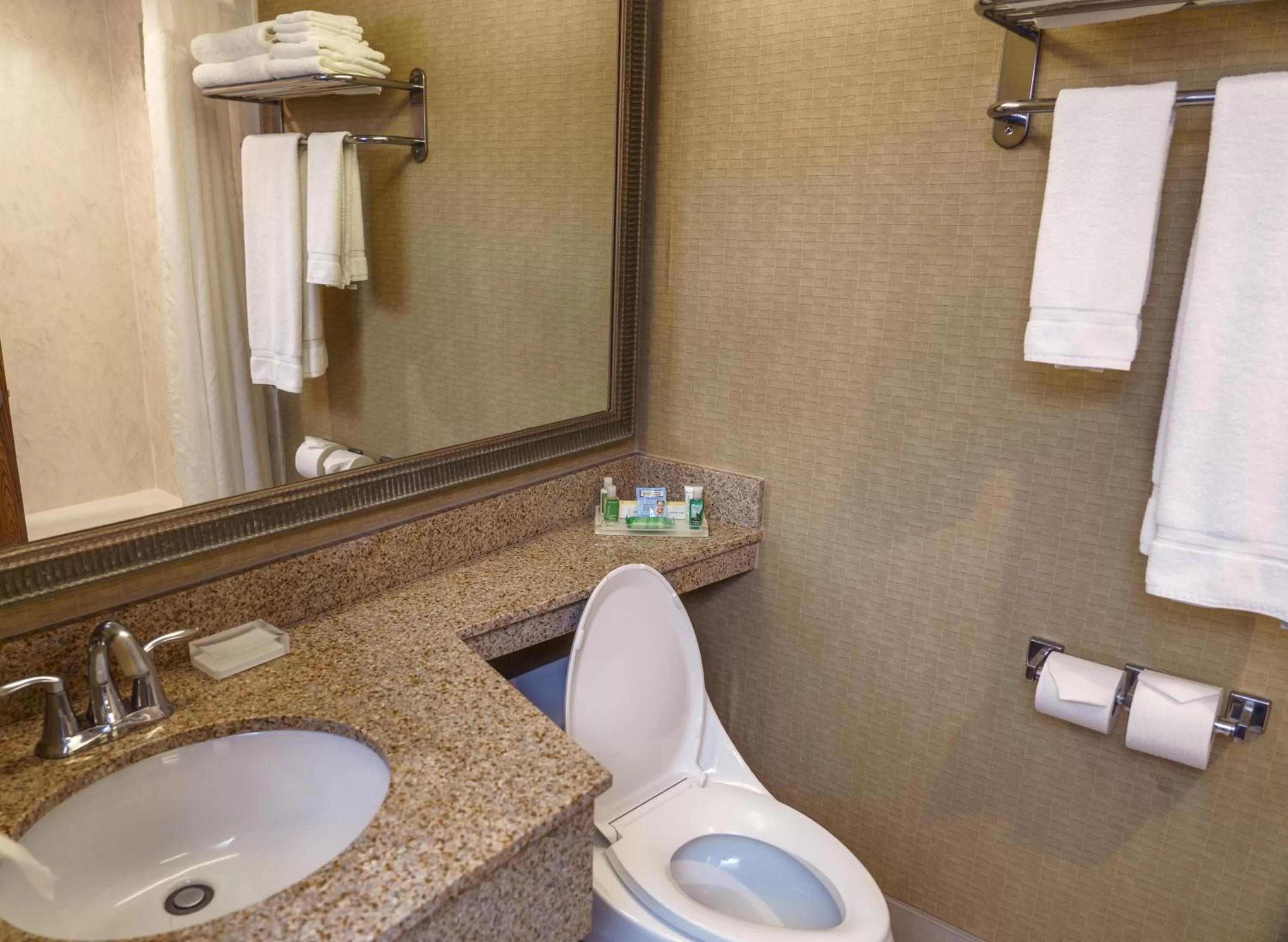 Deluxe King Room - Hearing Accessible with Bath Tub/Non-Smoking in Holiday Inn New Orleans-Downtown Superdome, an IHG Hotel