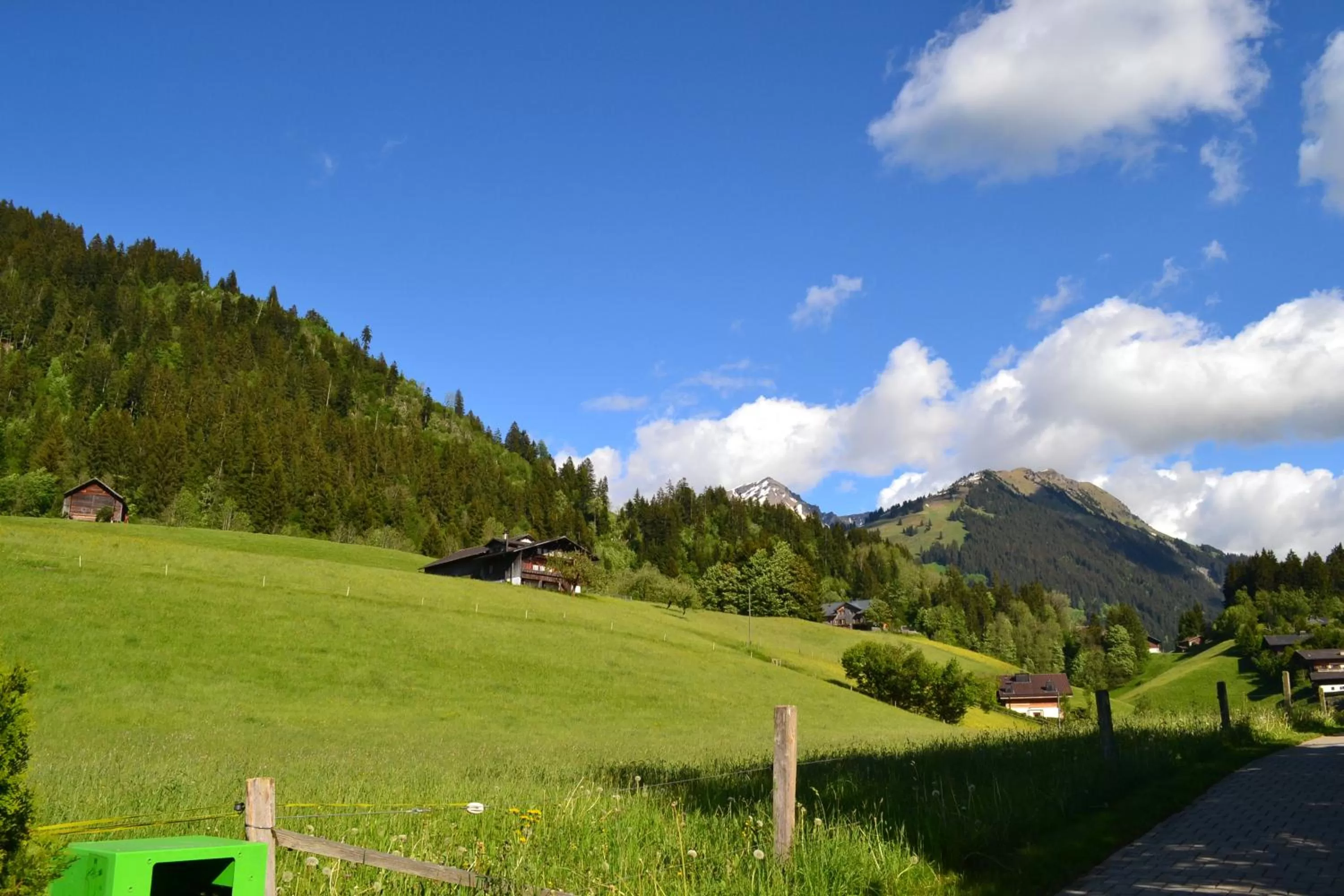 Natural landscape in Hotel Le Grand Chalet Gstaad