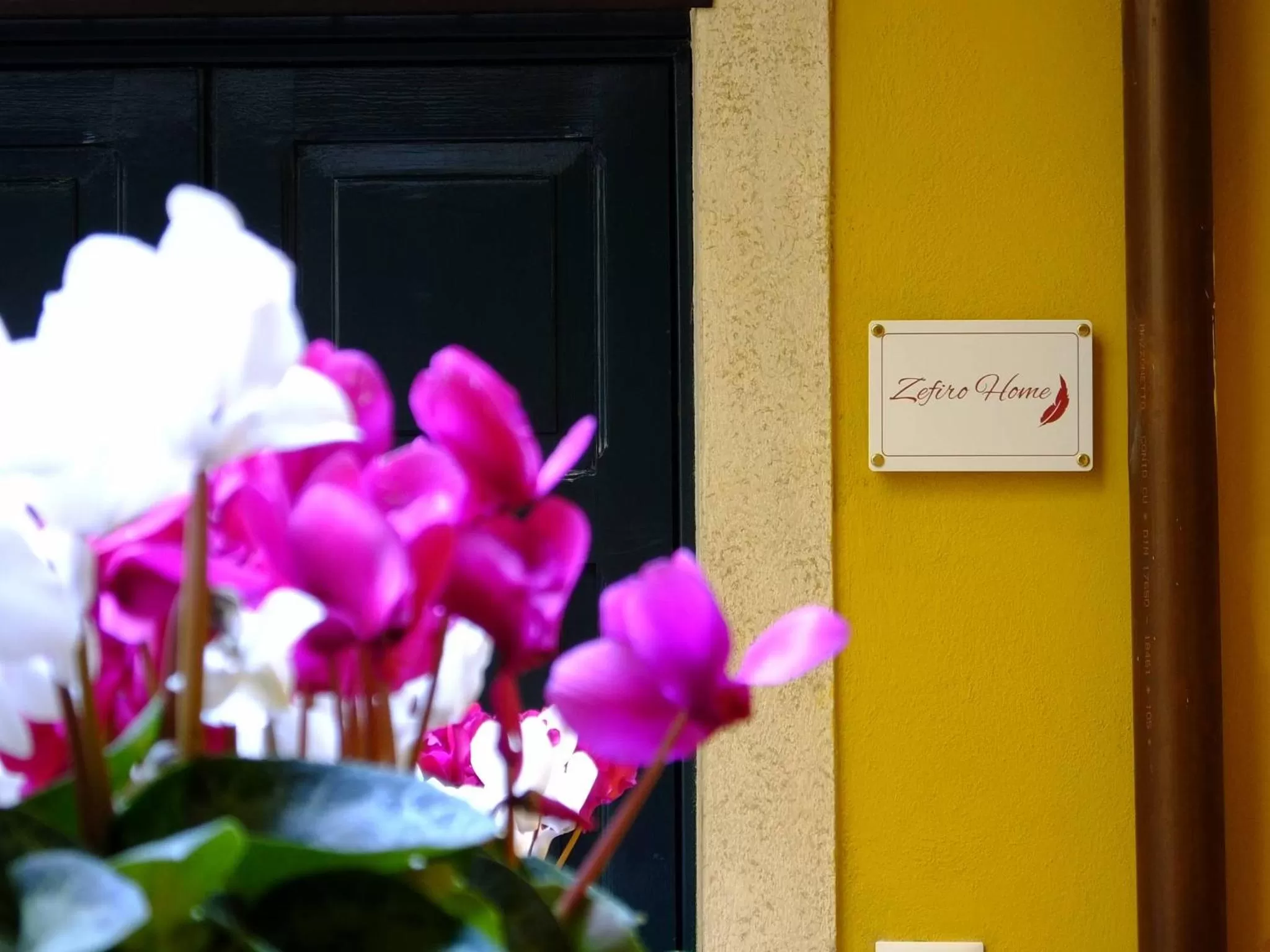 Property logo or sign in Zefiro Home