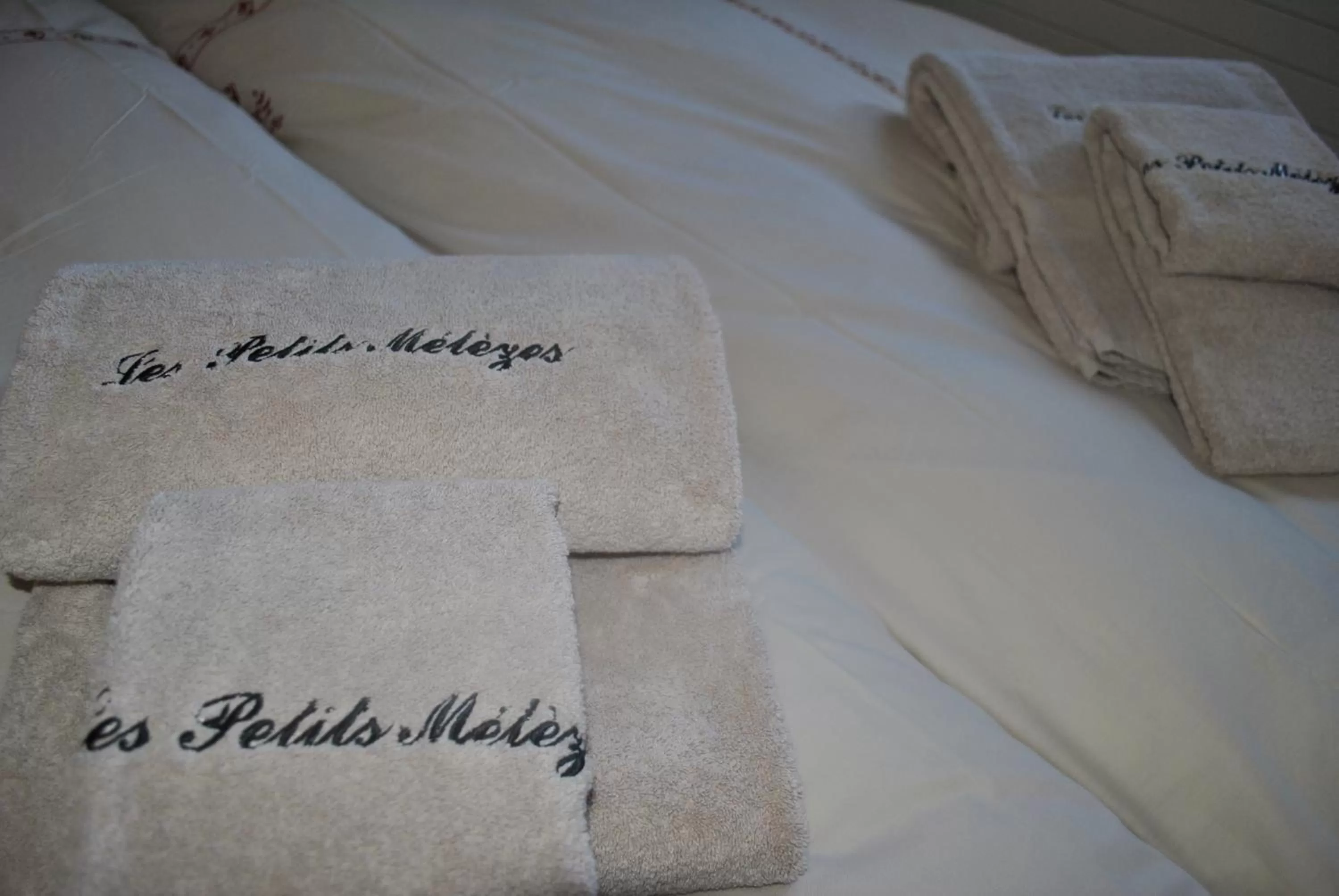 Decorative detail in Les Petits Mélèzes