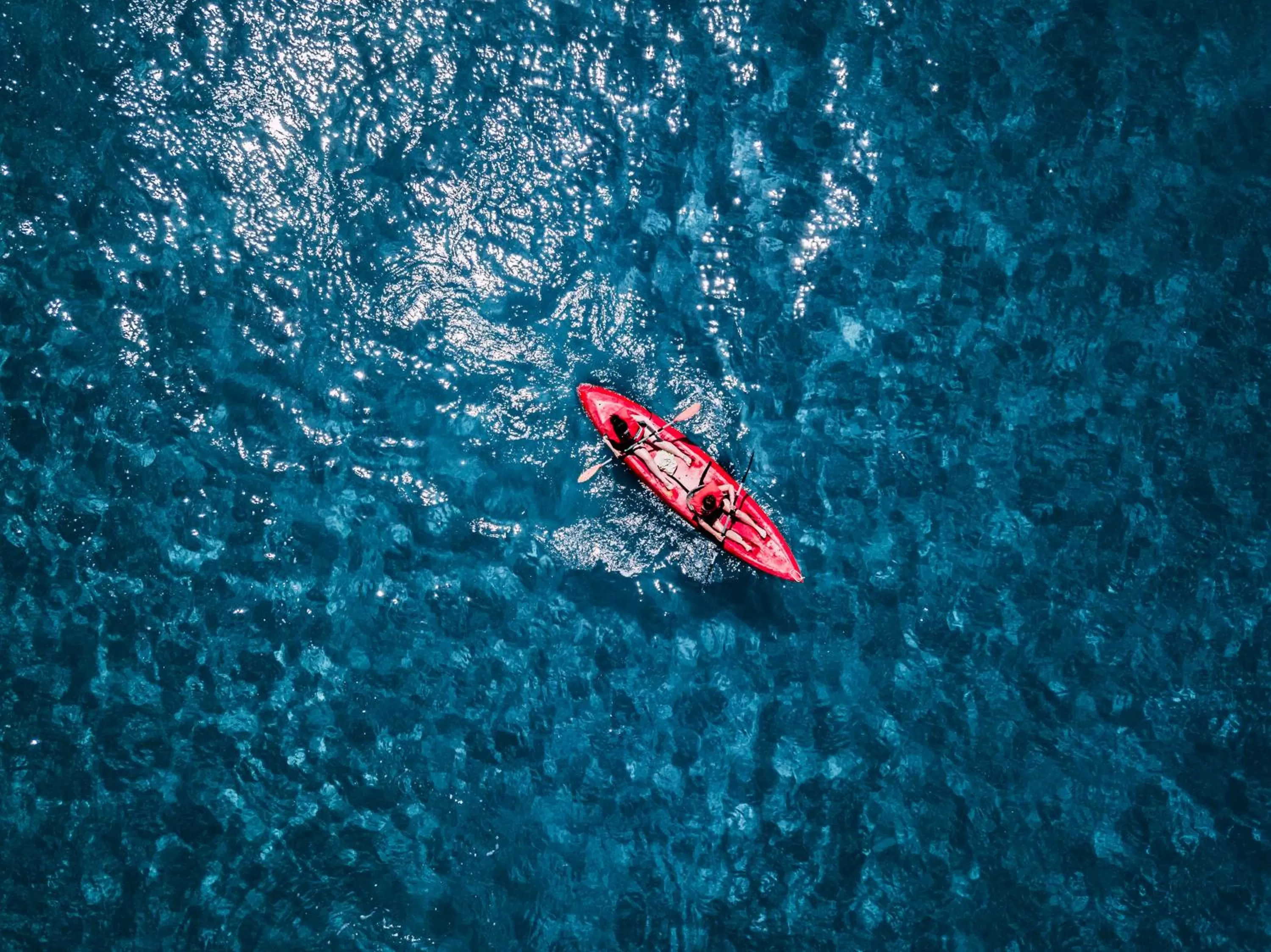 Pink Palace Beach Resort