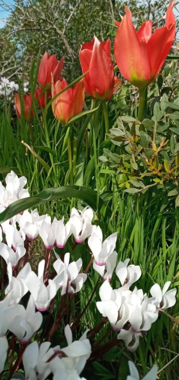 Hiking in Danielle boutique suite