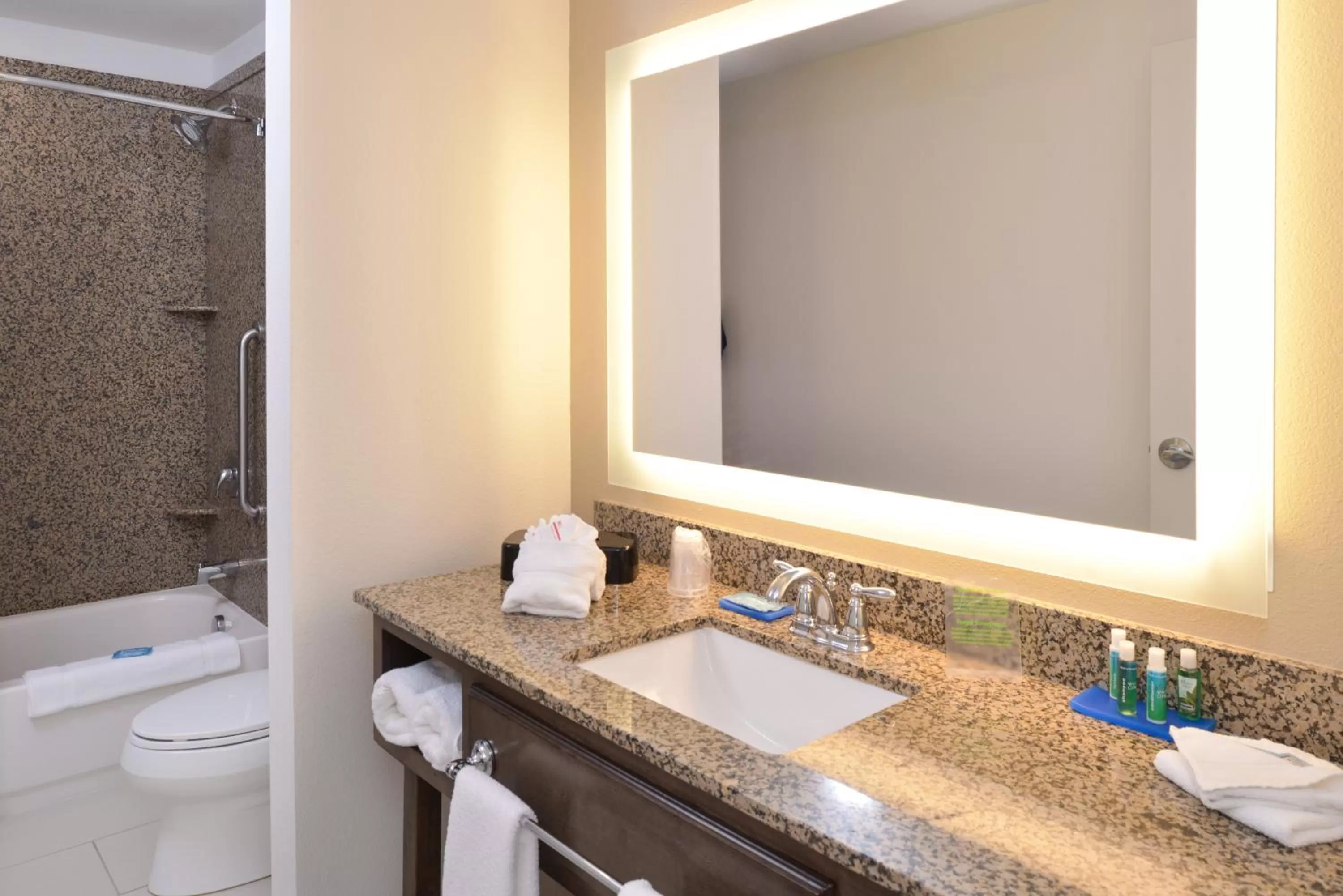 Bathroom in Holiday Inn Express Pocatello by IHG