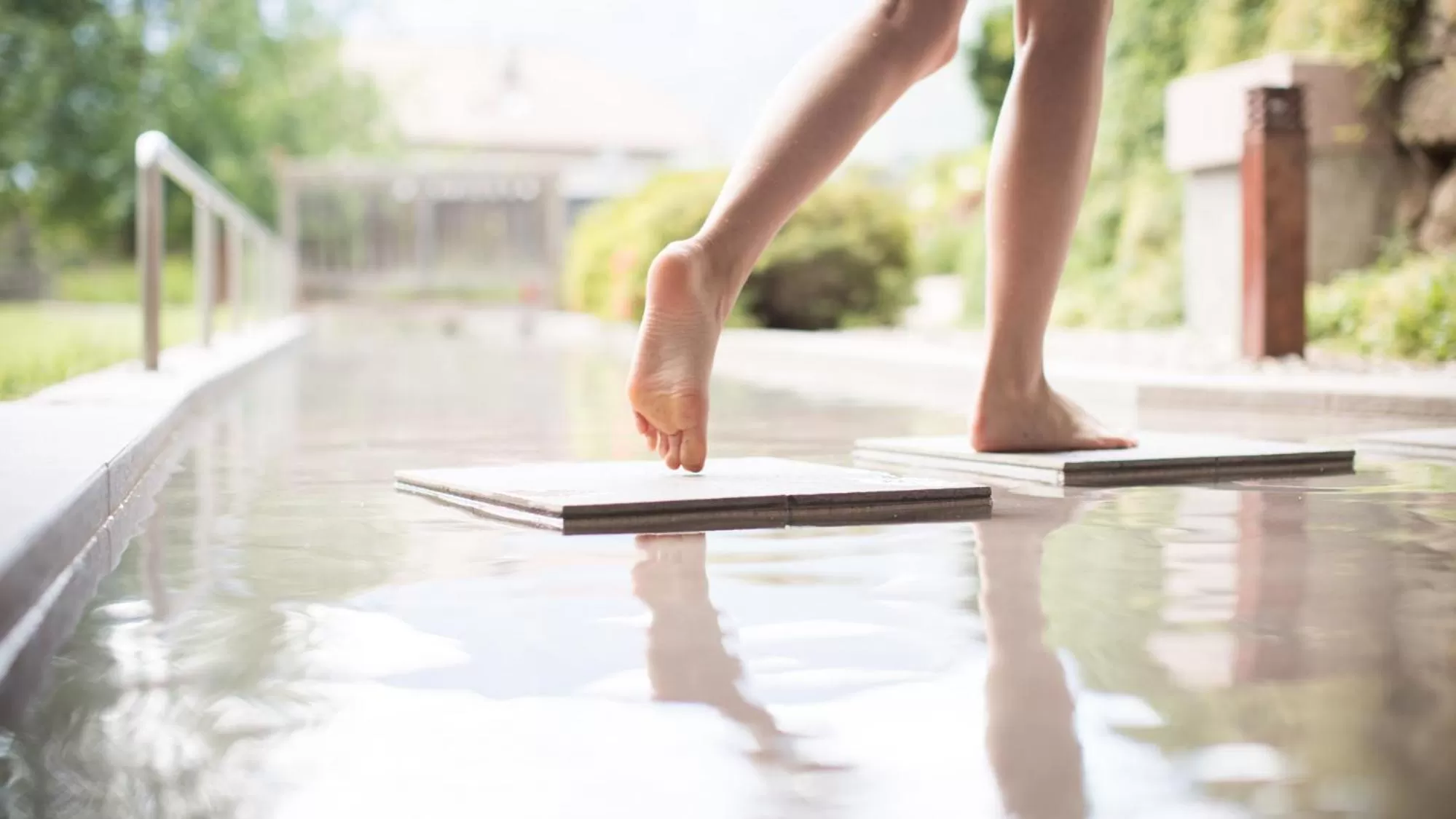 Garden view in Biohotel theiner's garten
