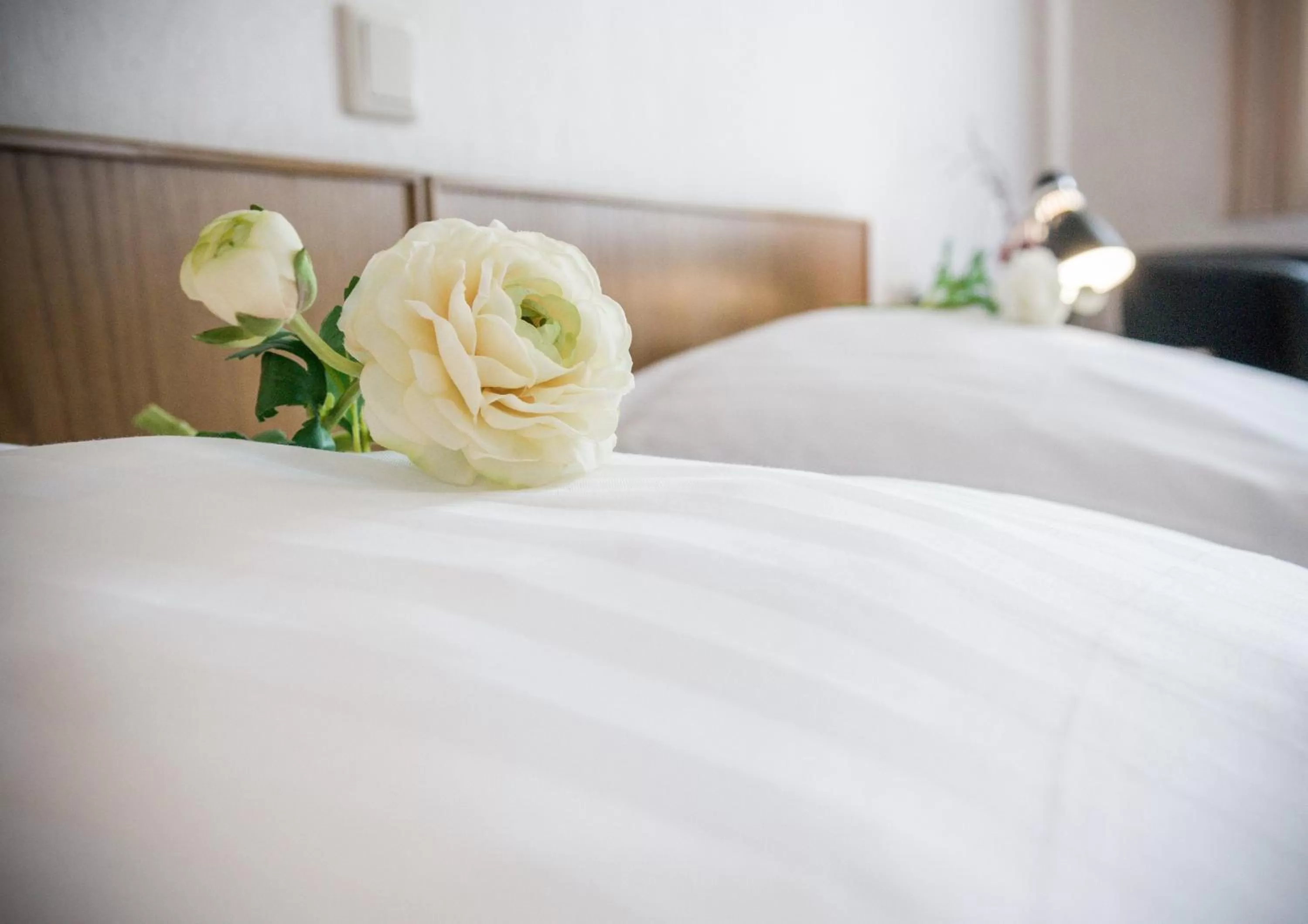 Double or Twin Room - single occupancy in Hotel Hilling