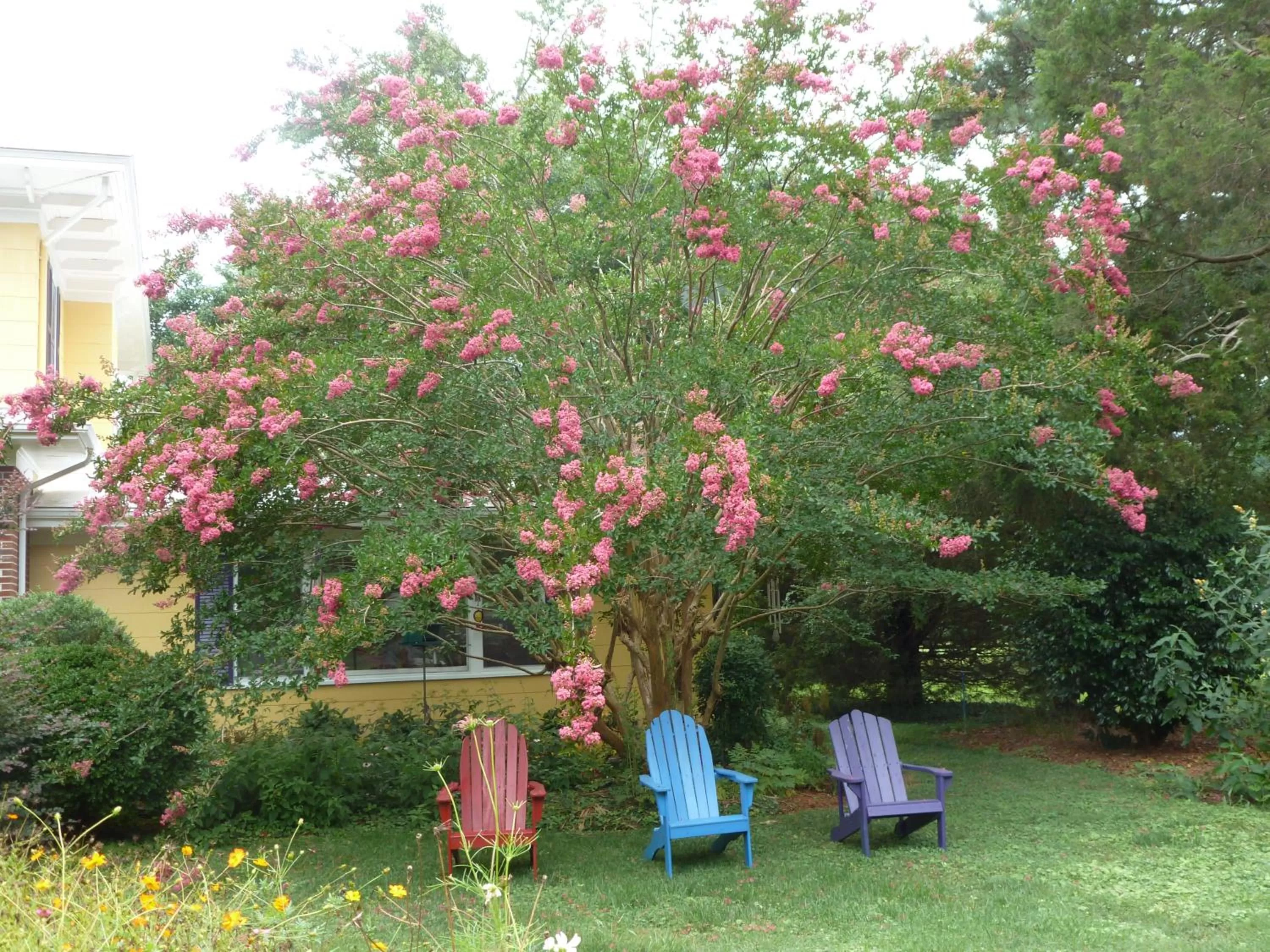 Children's Play Area in Back INN Time B&B