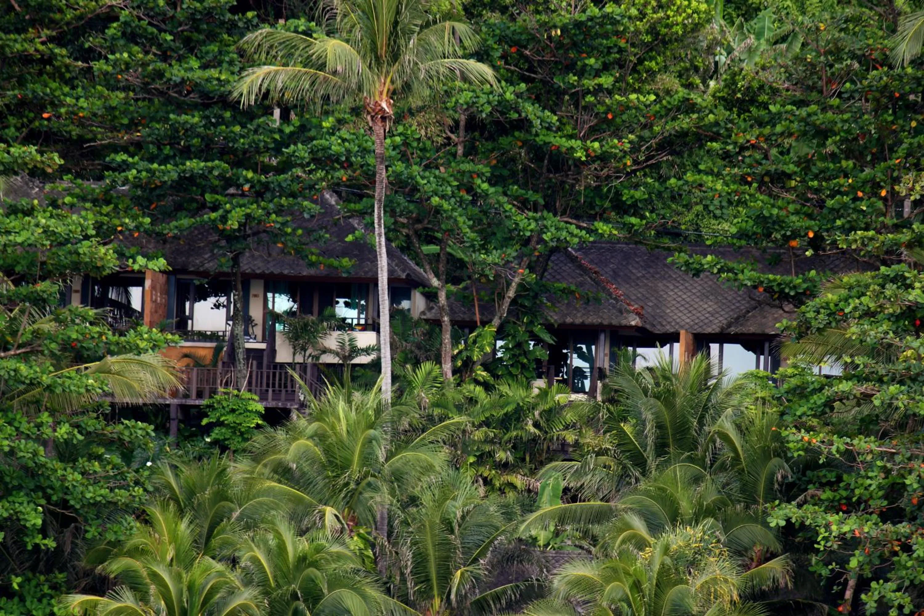Garden in Andaman White Beach Resort - SHA Plus
