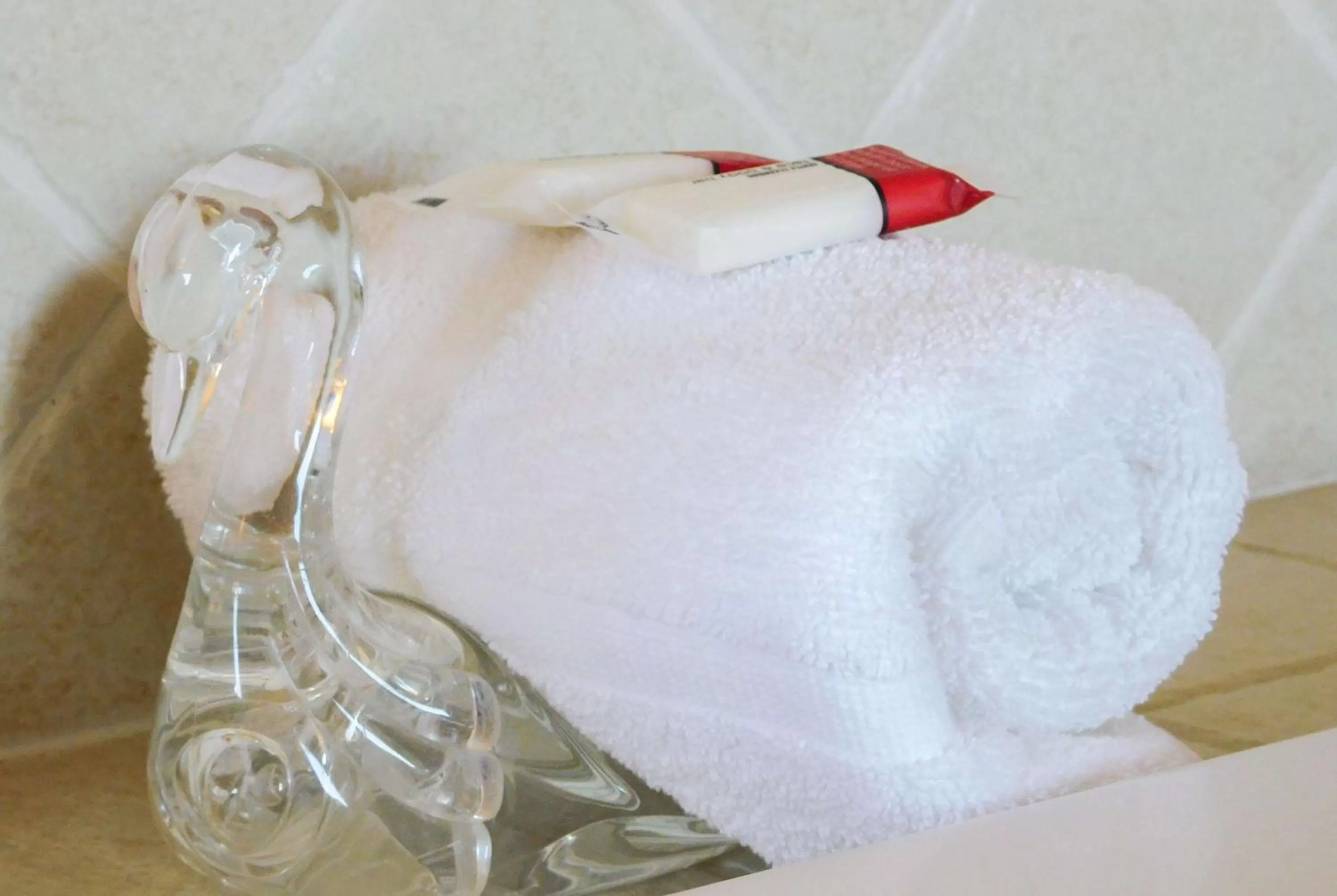 Photo of the whole room in Days Inn & Suites by Wyndham Pocahontas