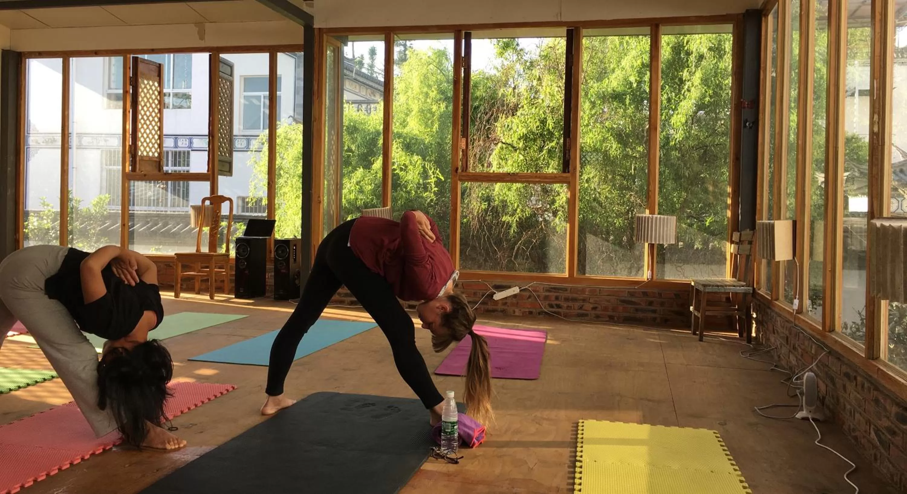 Activities in The Lily Pad Inn