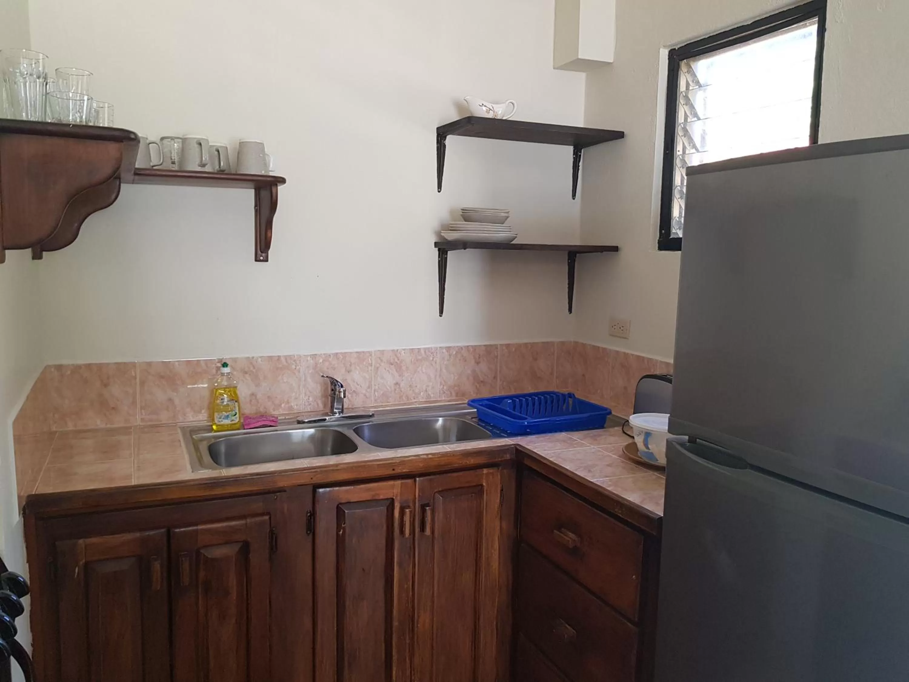 Kitchen/Kitchenette in Wild Orchid