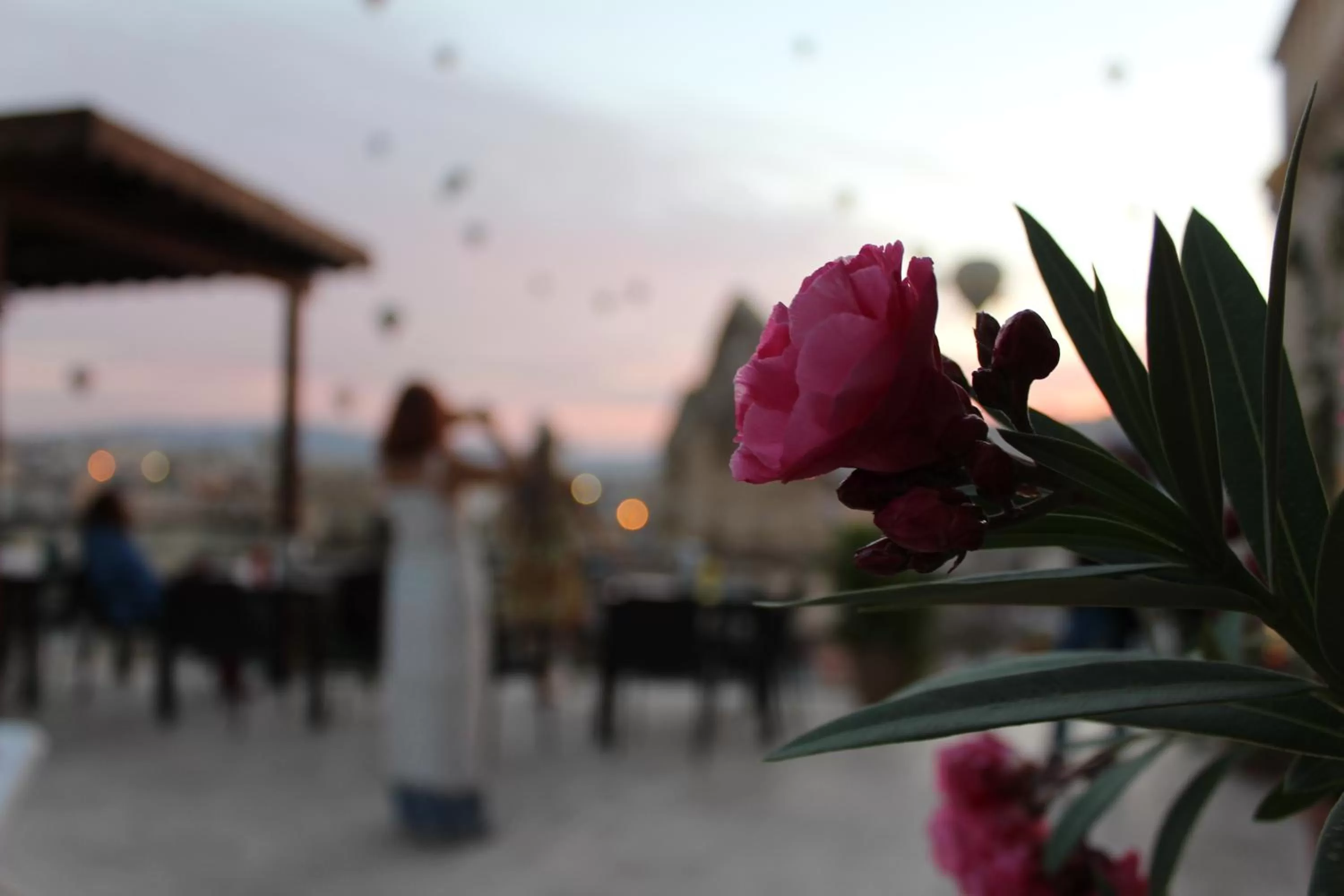 View (from property/room) in Shoestring Cave House