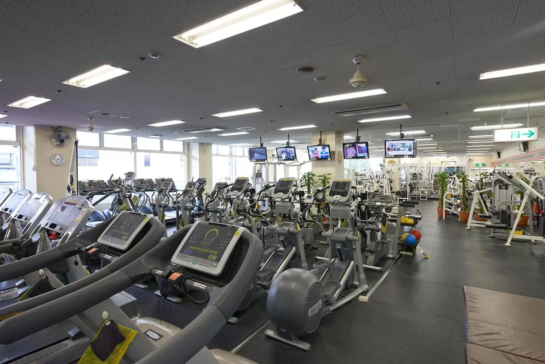 Fitness centre/facilities in Hotel Plaza Osaka