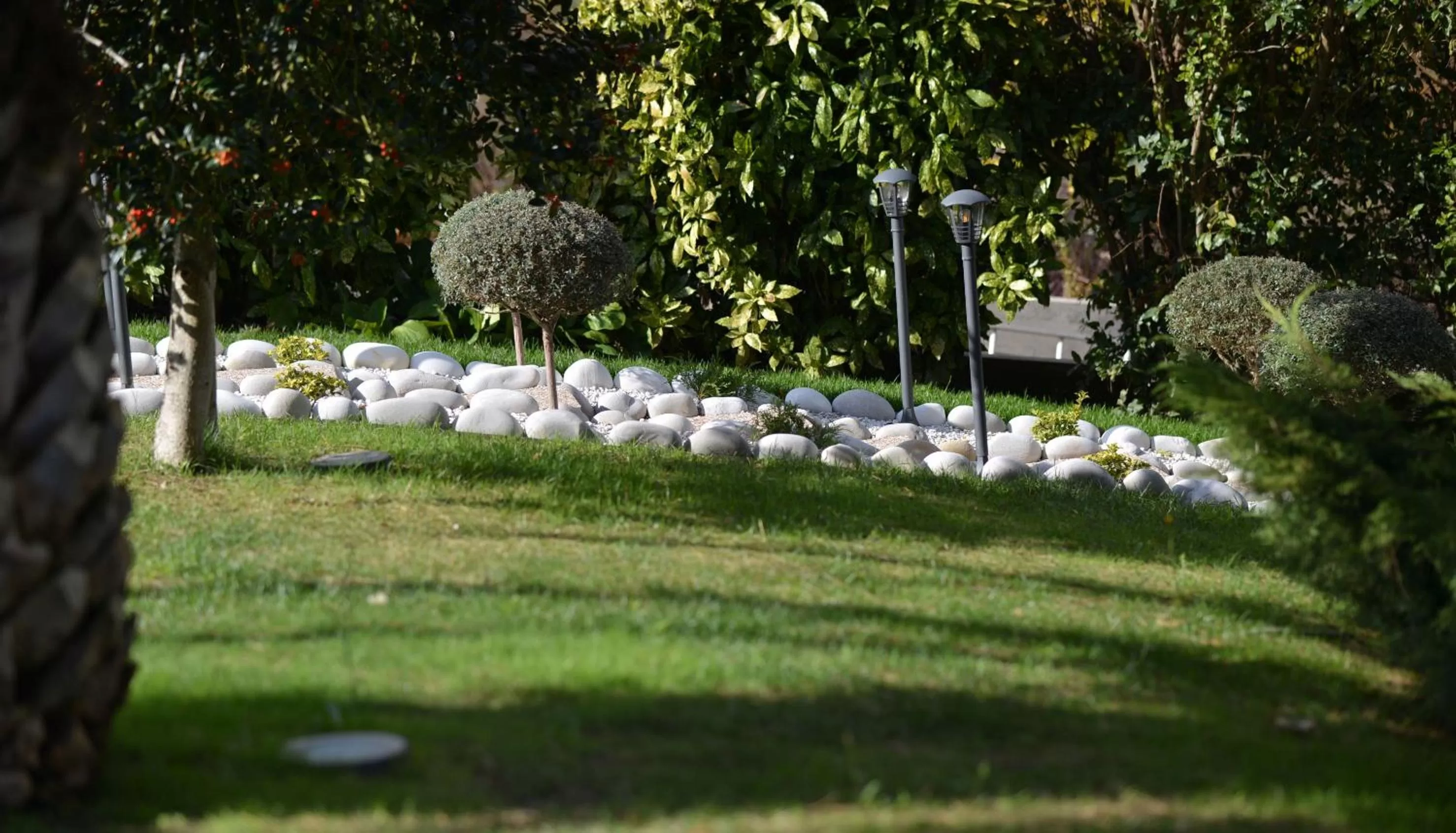 Garden in Casa das Carpas