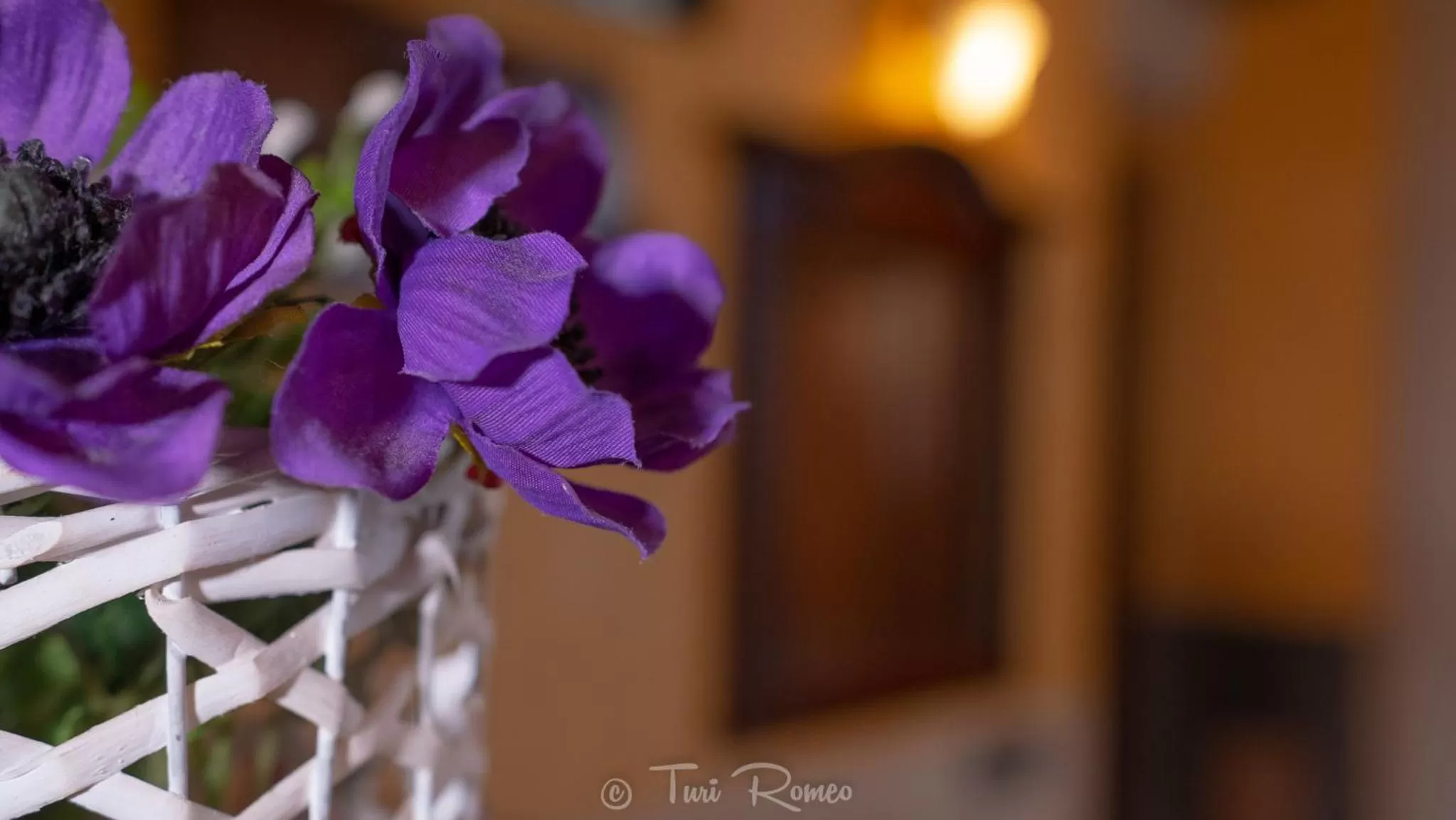 Decorative detail in La Dimora del Faro