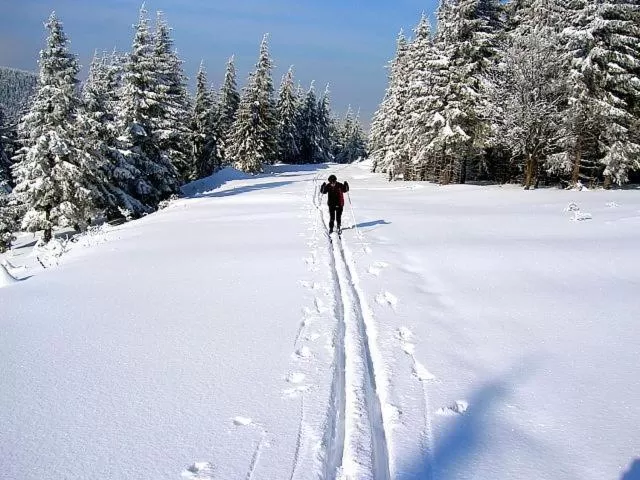Skiing in Hotel Zum Schneekopf "Garni"