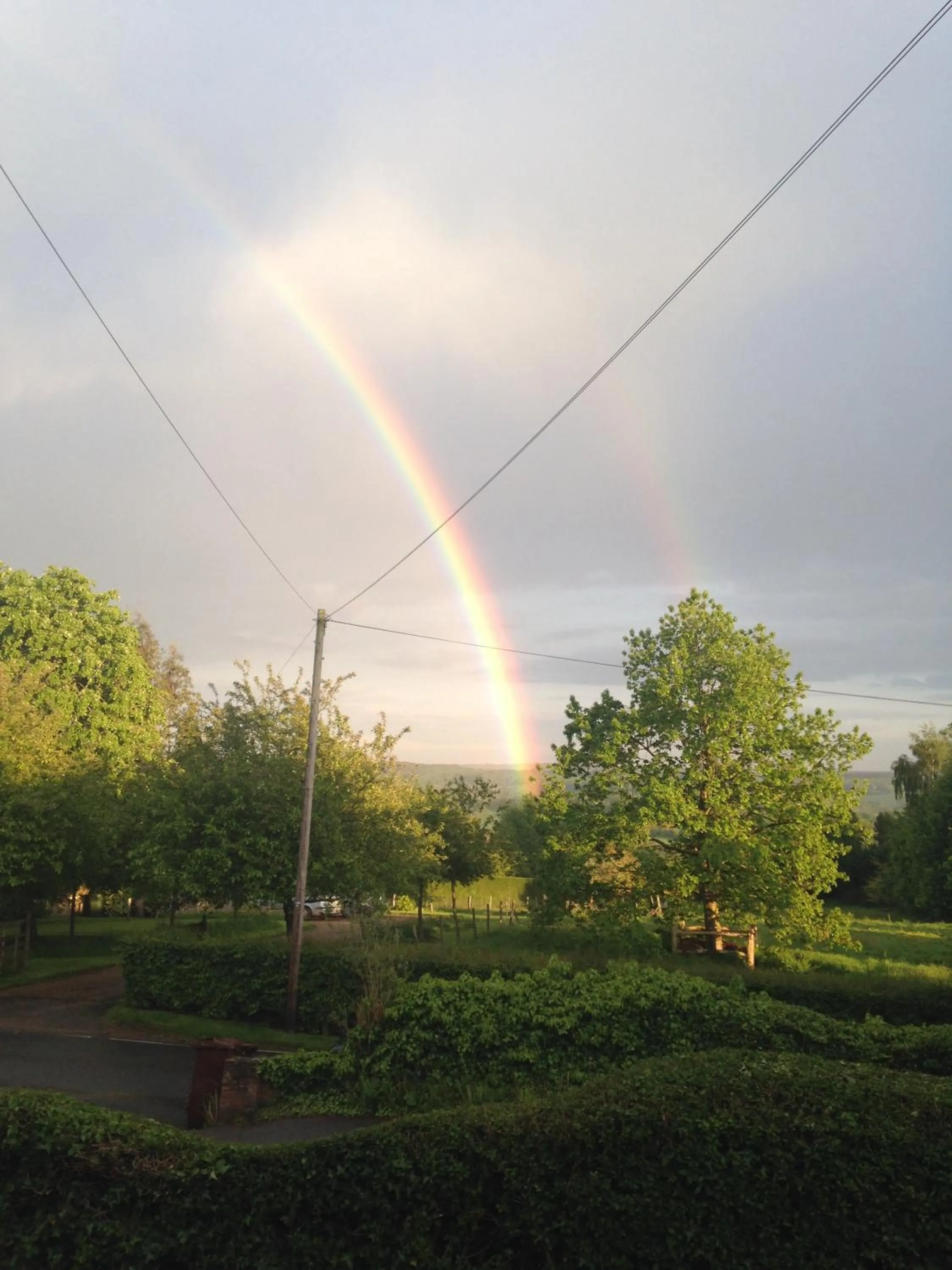 Area and facilities in The Star And Eagle Hotel