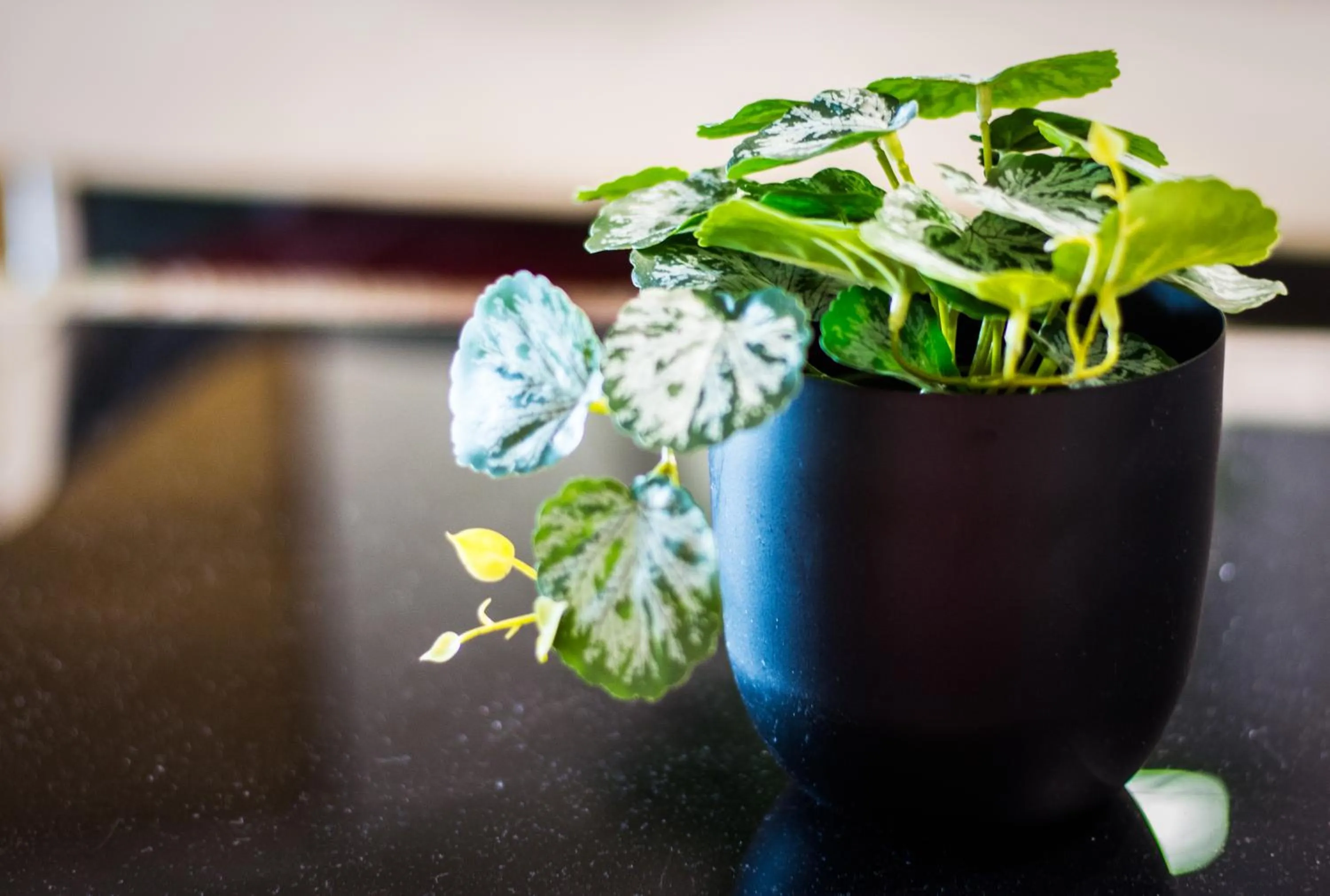 Decorative detail in ibis Styles Lyon Sud Vienne