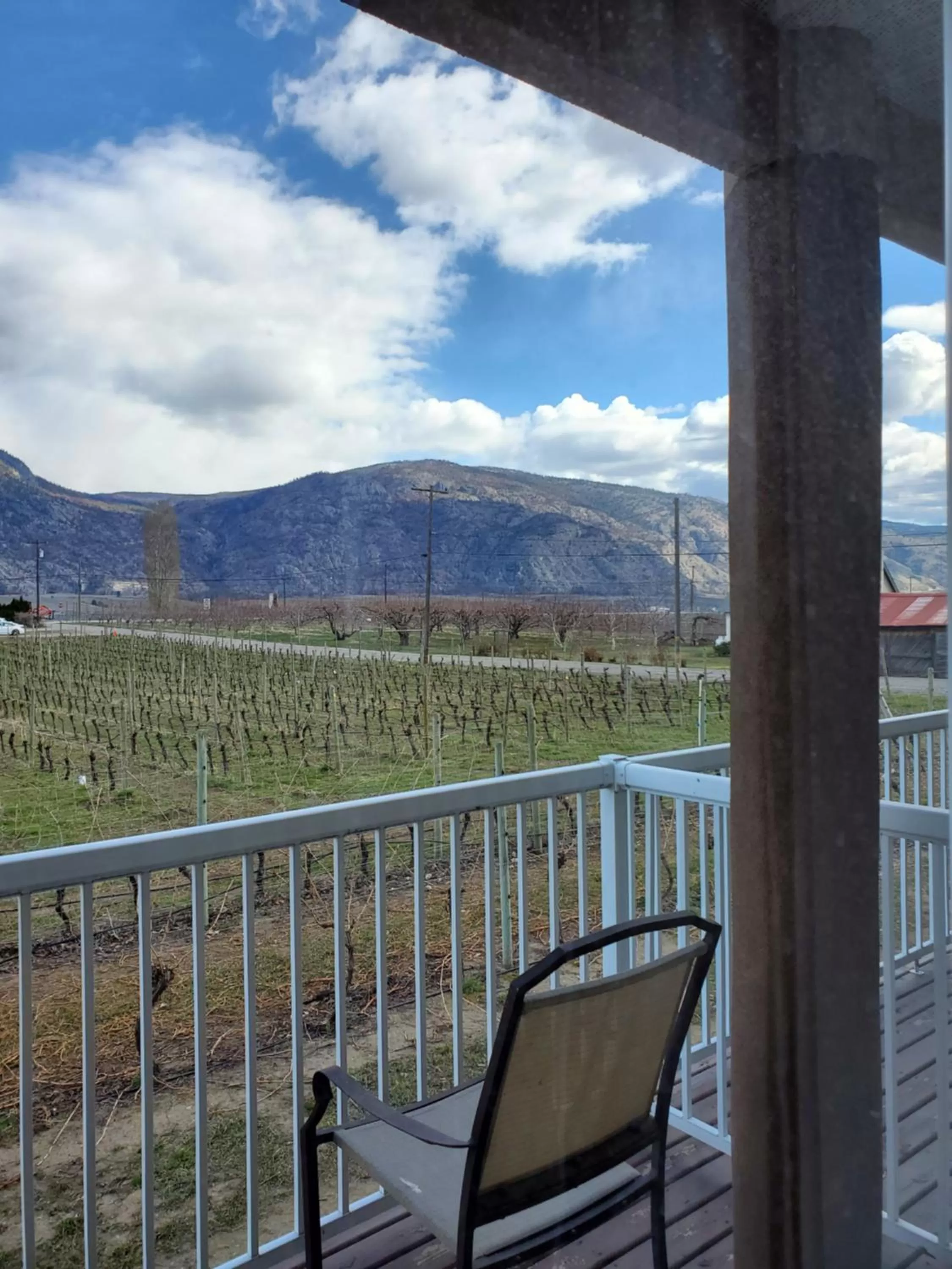 Mountain View in Sonora Desert Inn