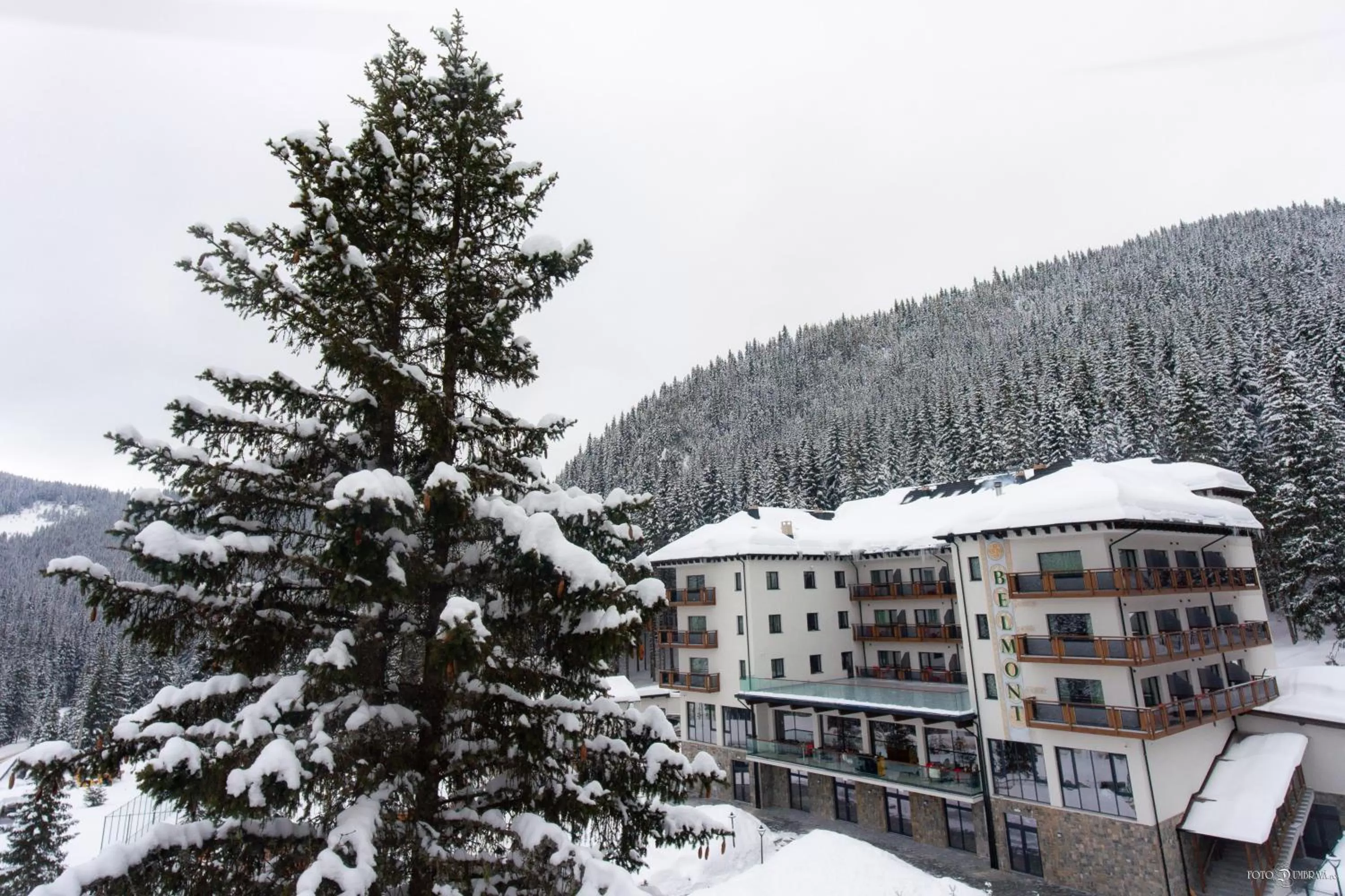 Property building, Winter in Hotel Belmont