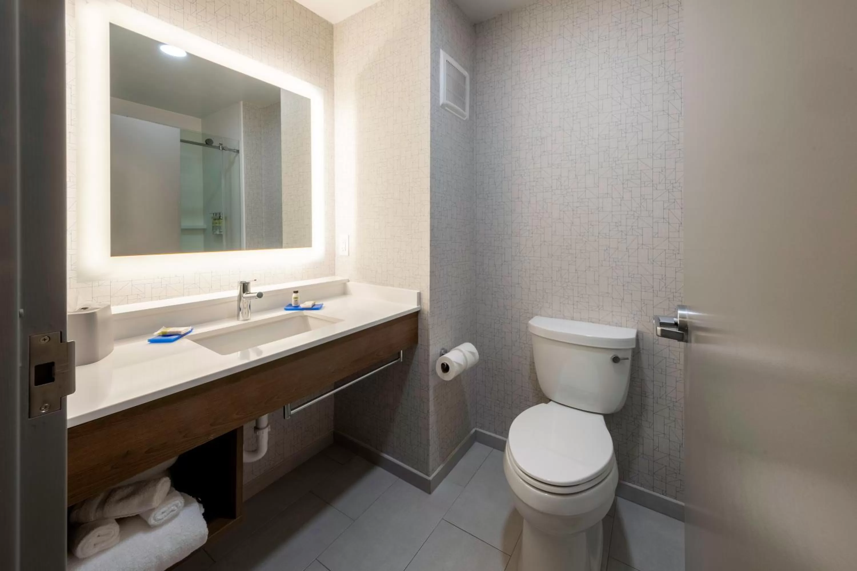 King Room - Disability Access Tub in Holiday Inn Express Hotel & Suites Petersburg/Dinwiddie, an IHG Hotel