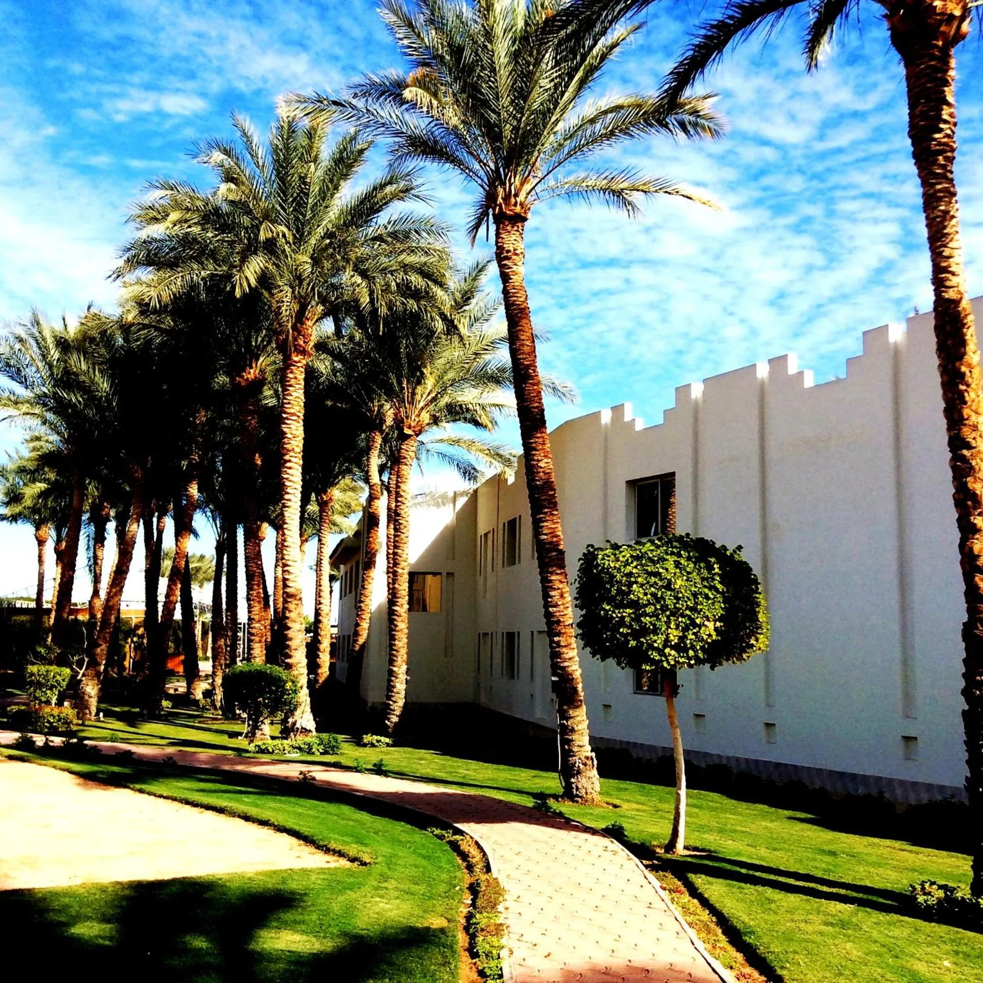 Garden view in Xperience St. George Sharm El Sheikh