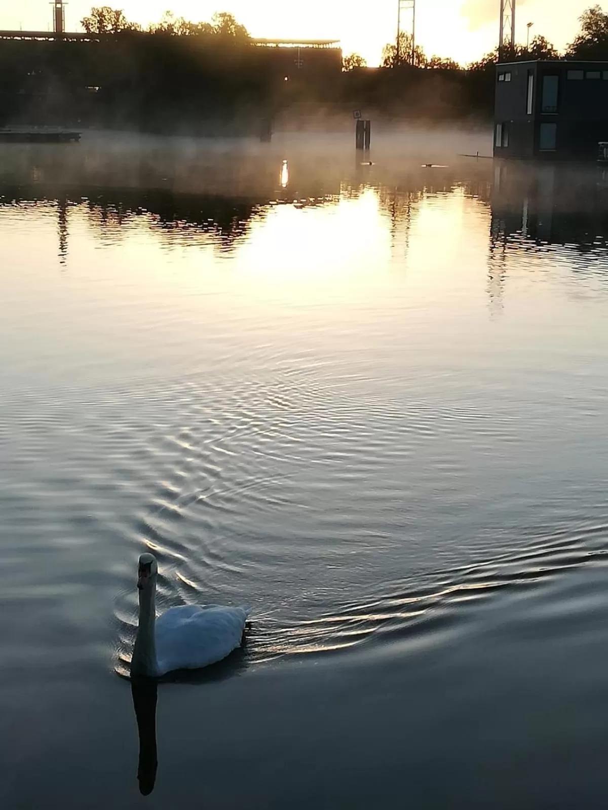 Sunset in Houseboat Studio Sooki