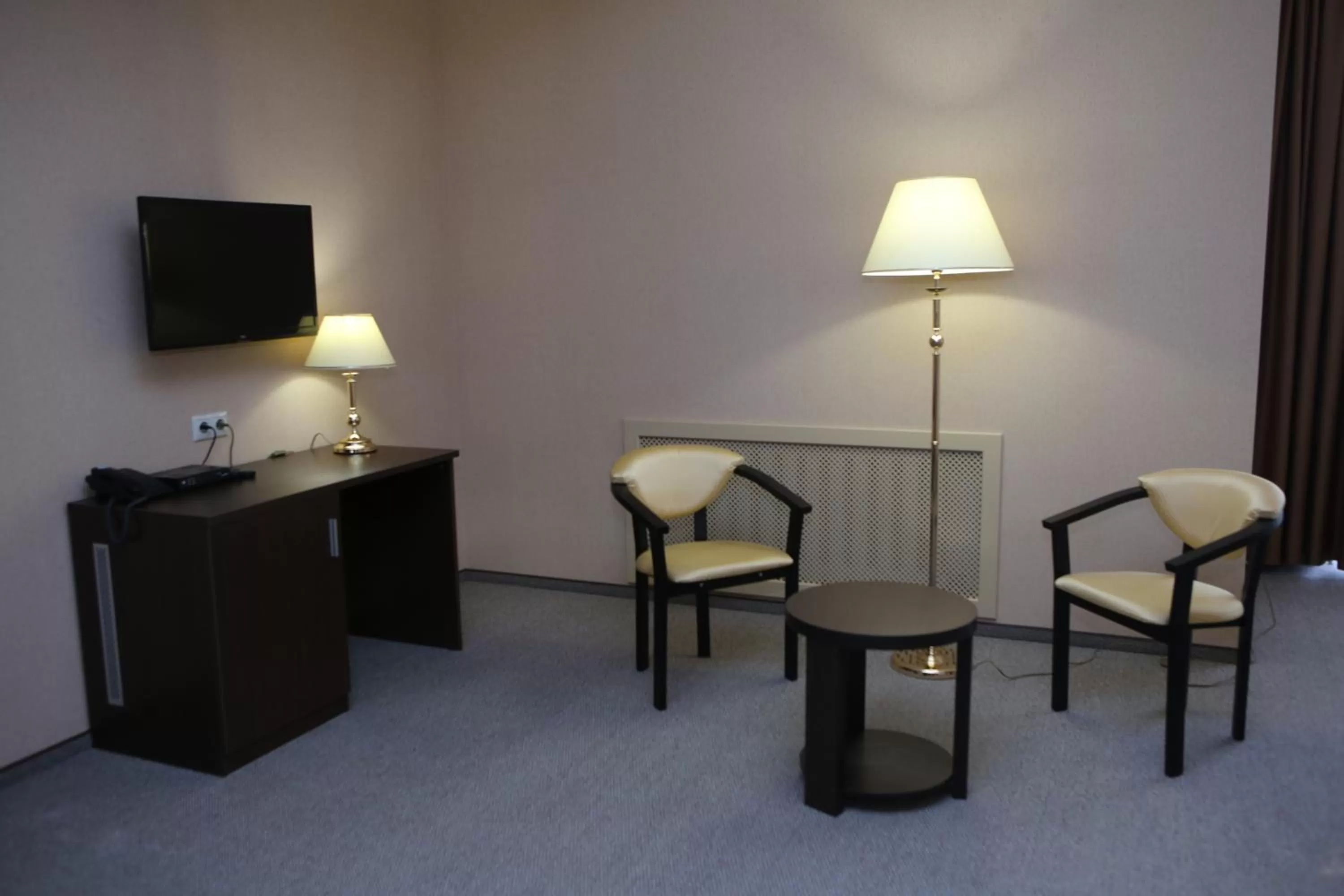 Photo of the whole room in Hotel Aner