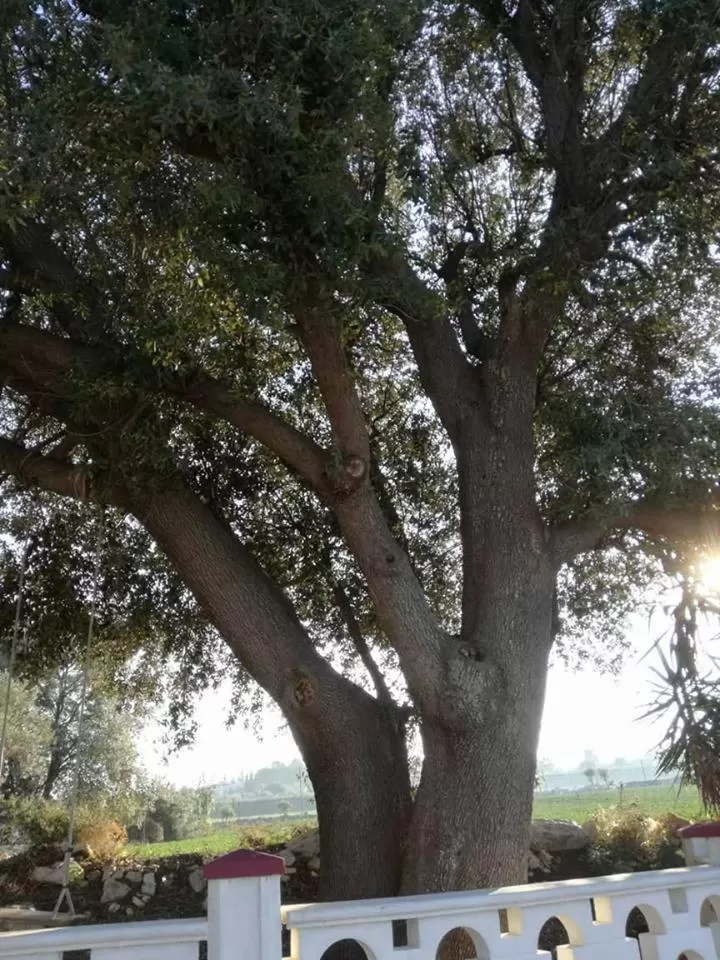 Le Dimore Del Sarto Polignano a mare