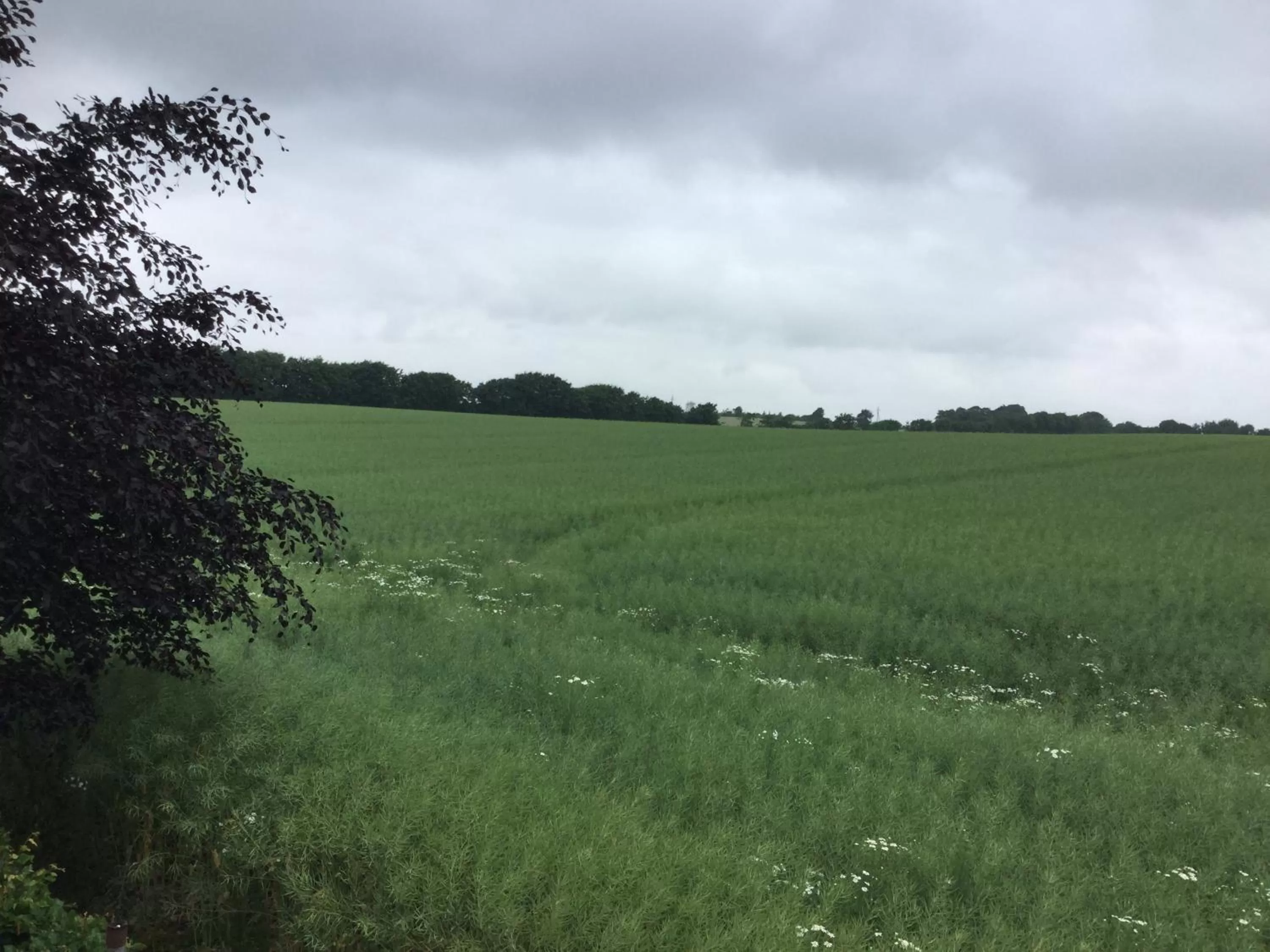 View (from property/room) in Margretelyst