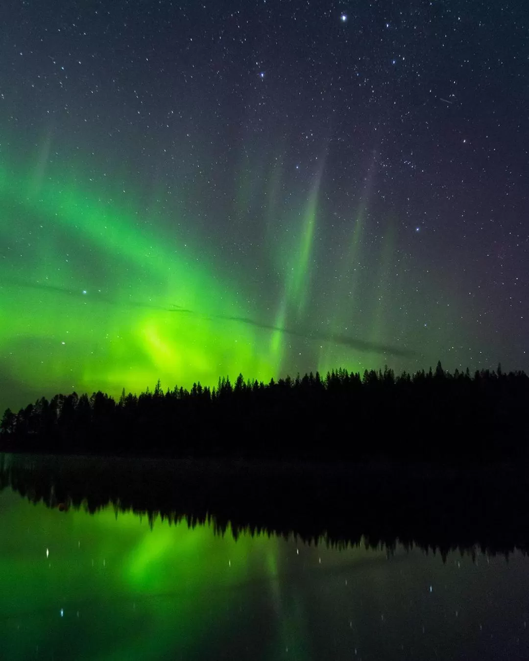 Natural landscape in Peace & Quiet Hotel