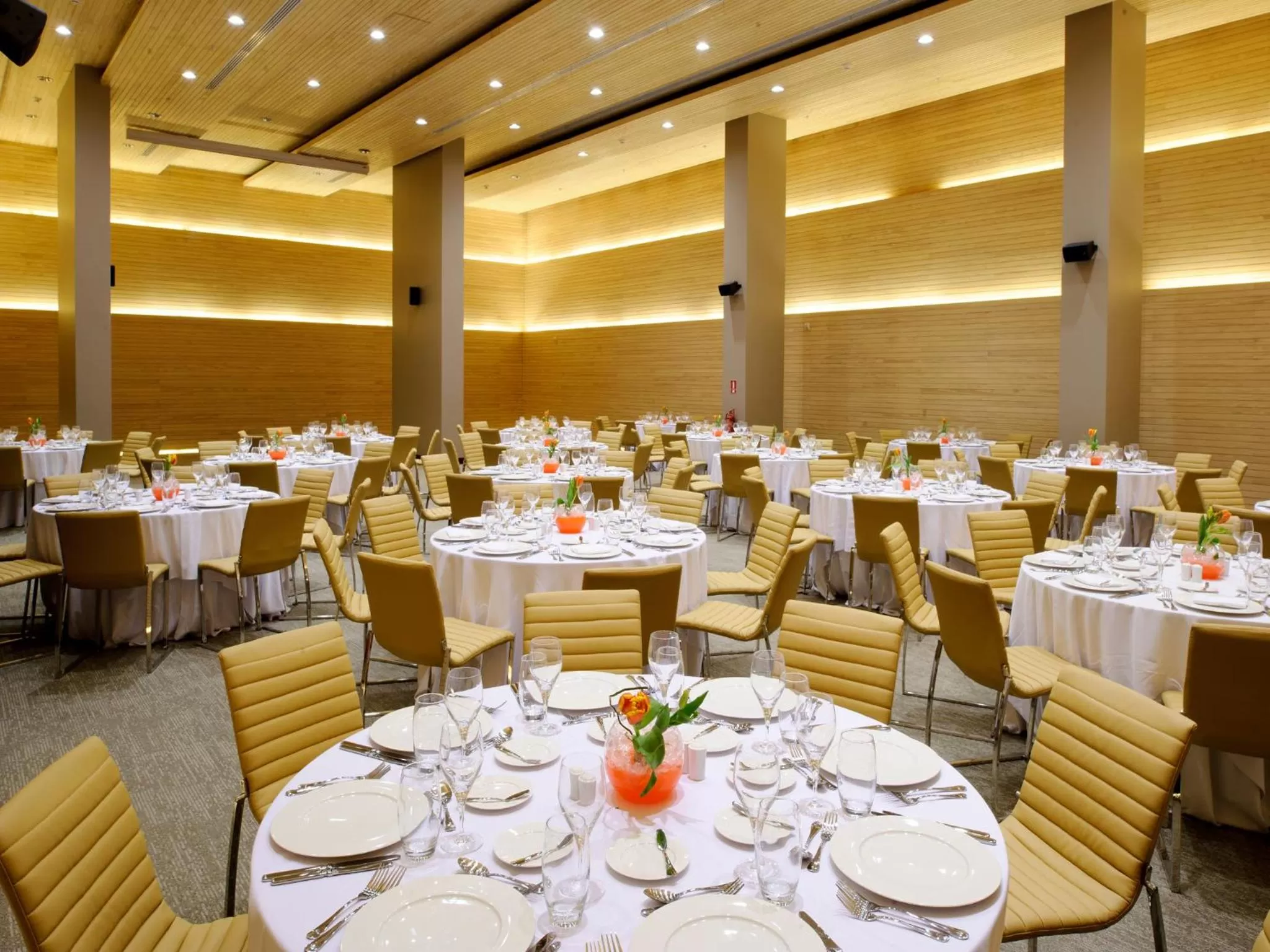 Banquet/Function facilities in NOI Vitacura