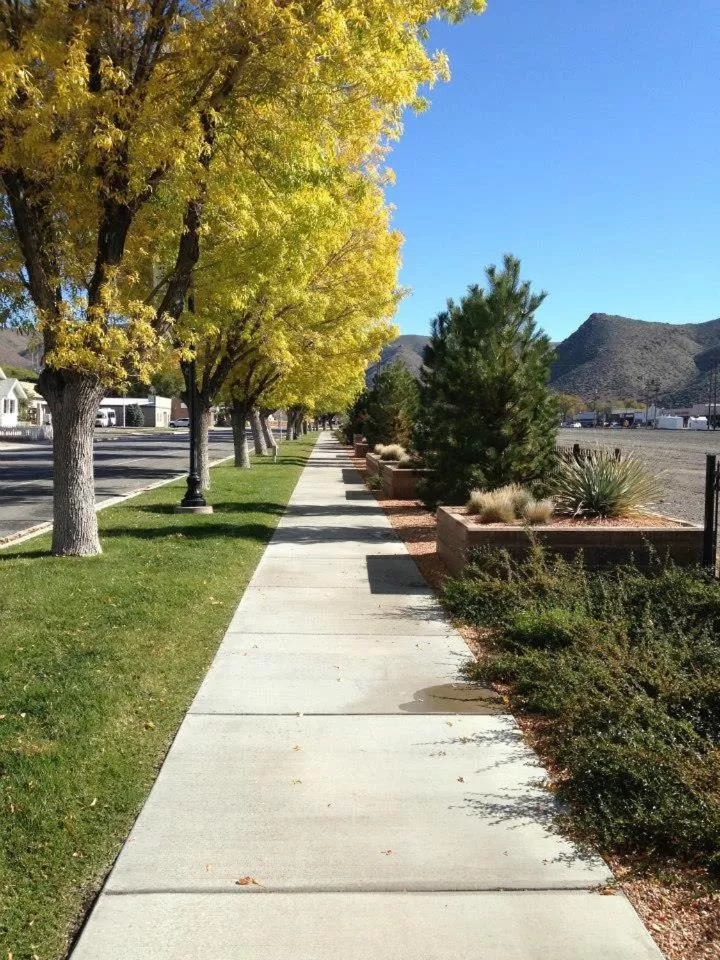 Street view in Shady Motel