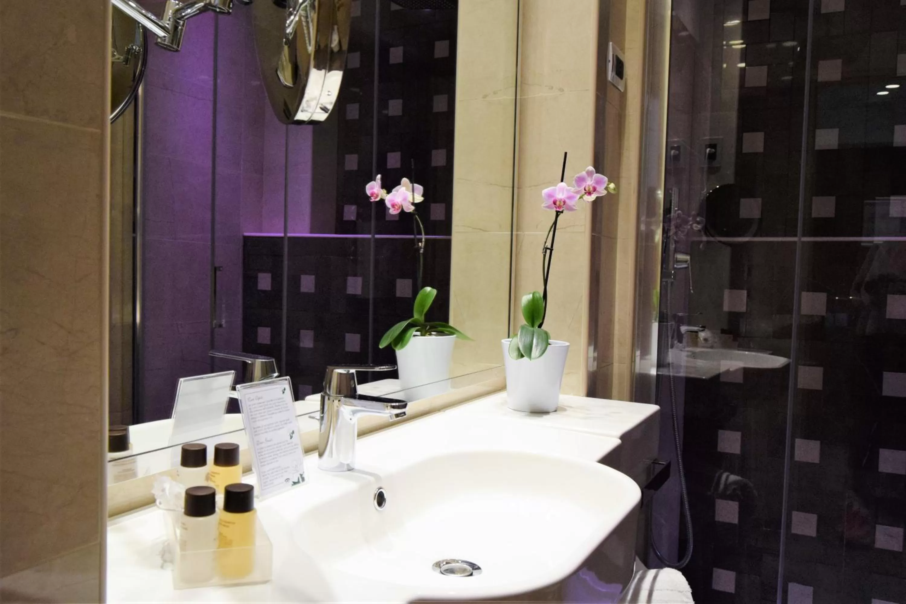 Bathroom in Hotel Continental