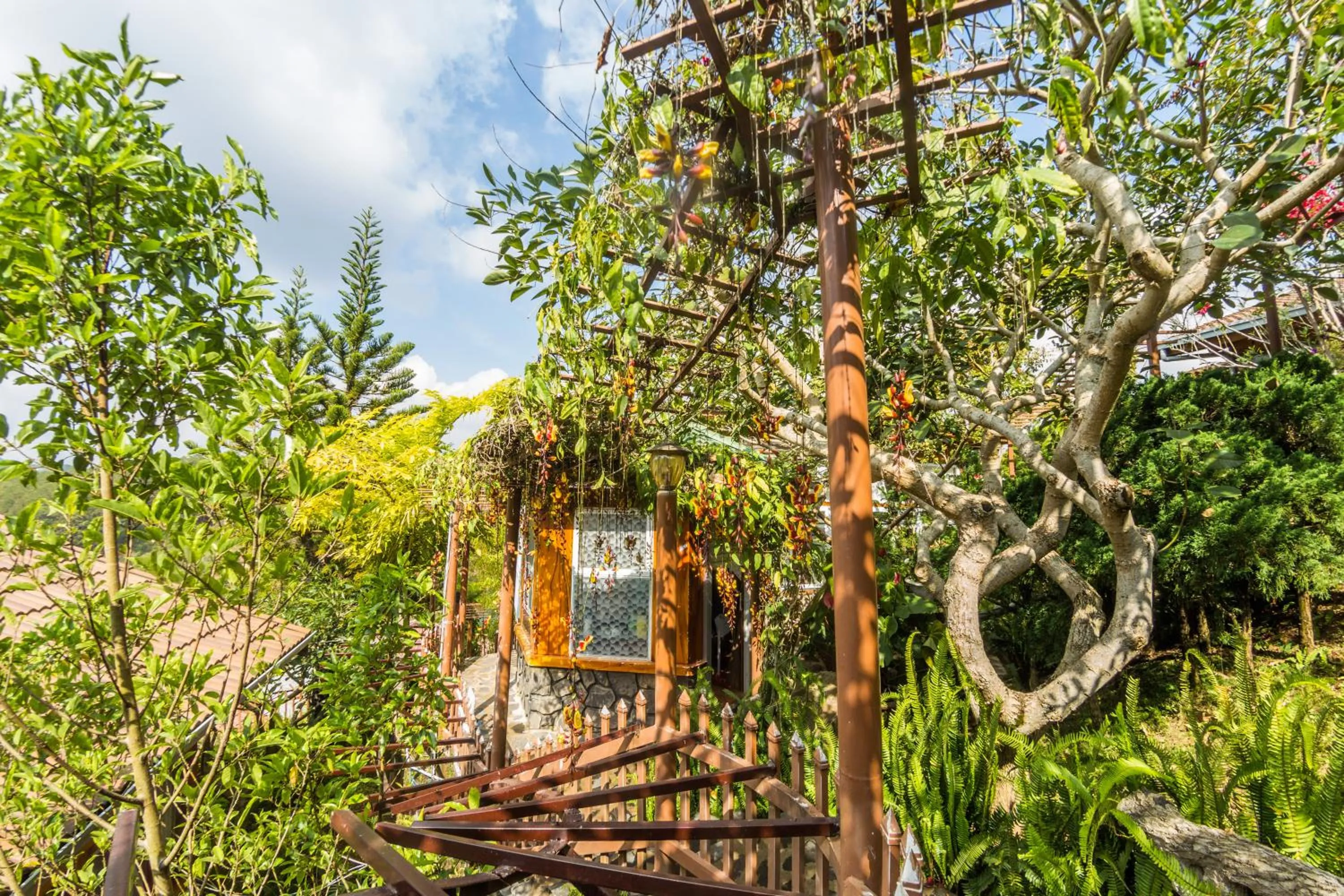 Natural landscape in Zen Valley Dalat