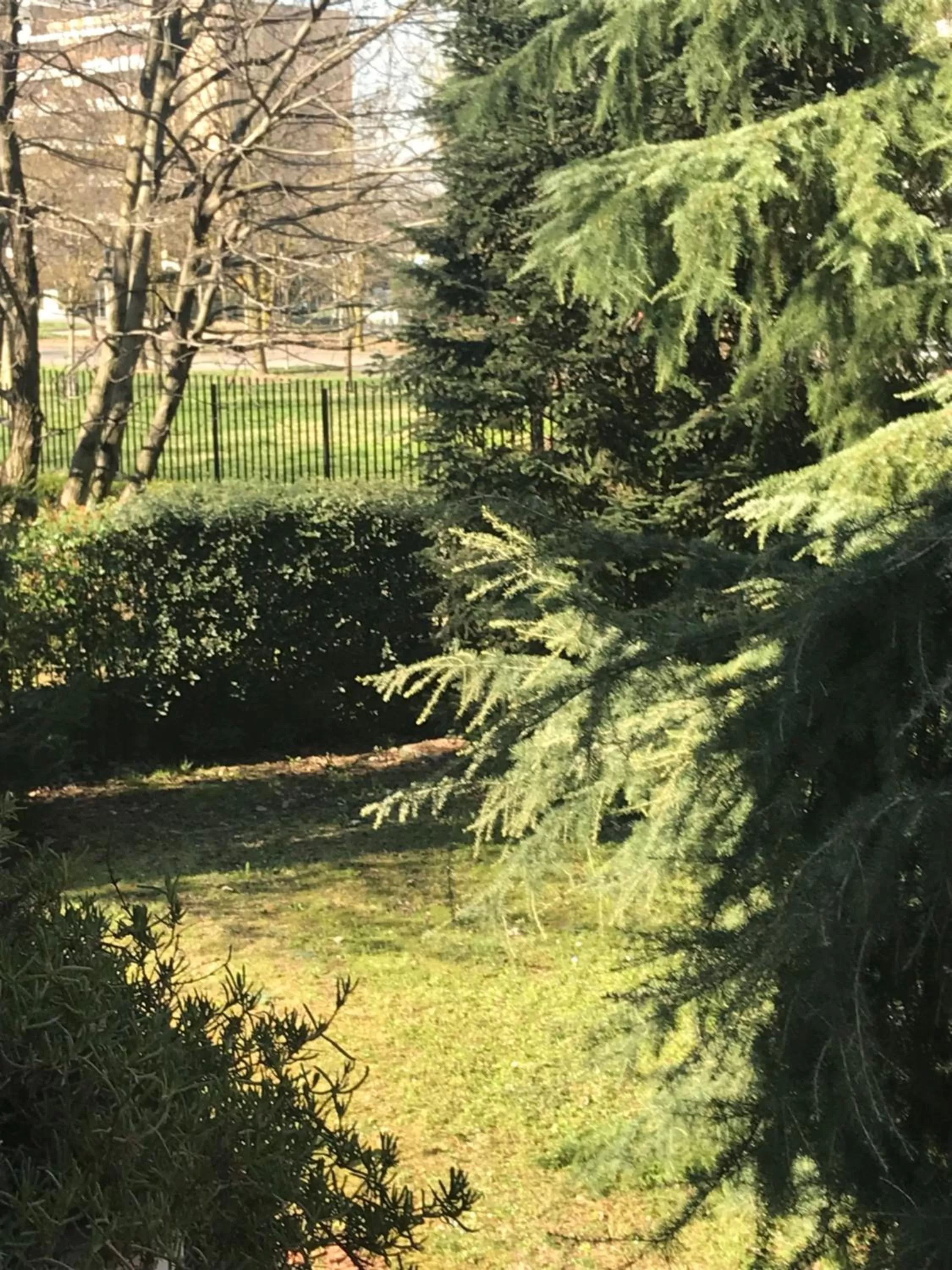 Natural landscape in B&B Borgo dei Fiori