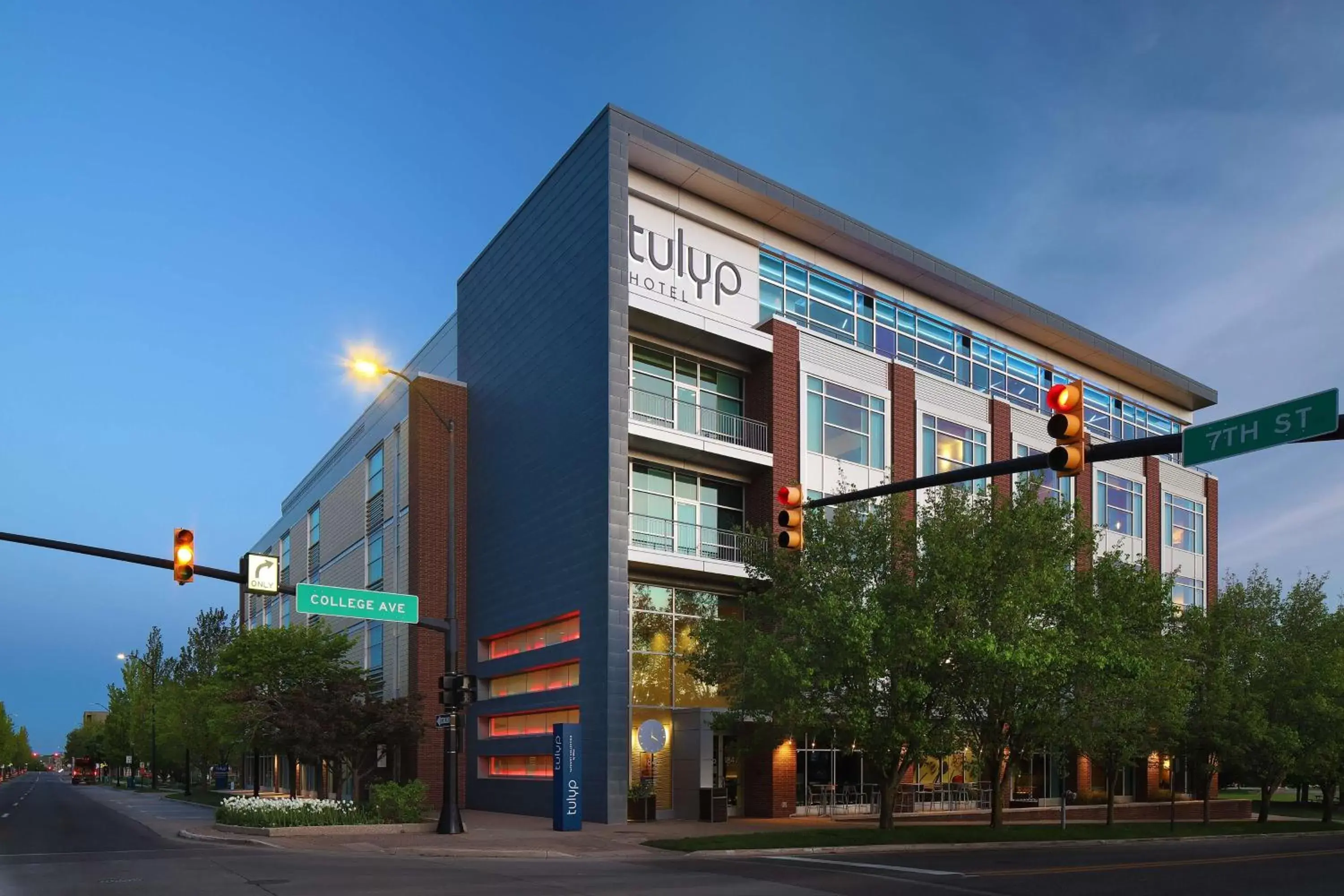 Tulyp, Tapestry Collection by Hilton Tulyp, Tapestry Collection by Hilton